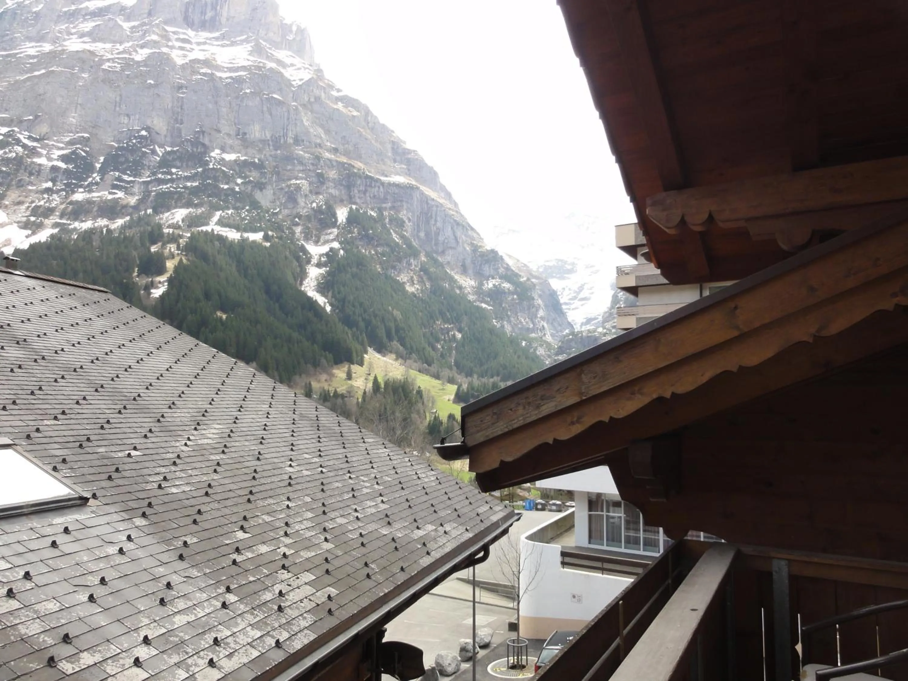 Hotel Steinbock Grindelwald
