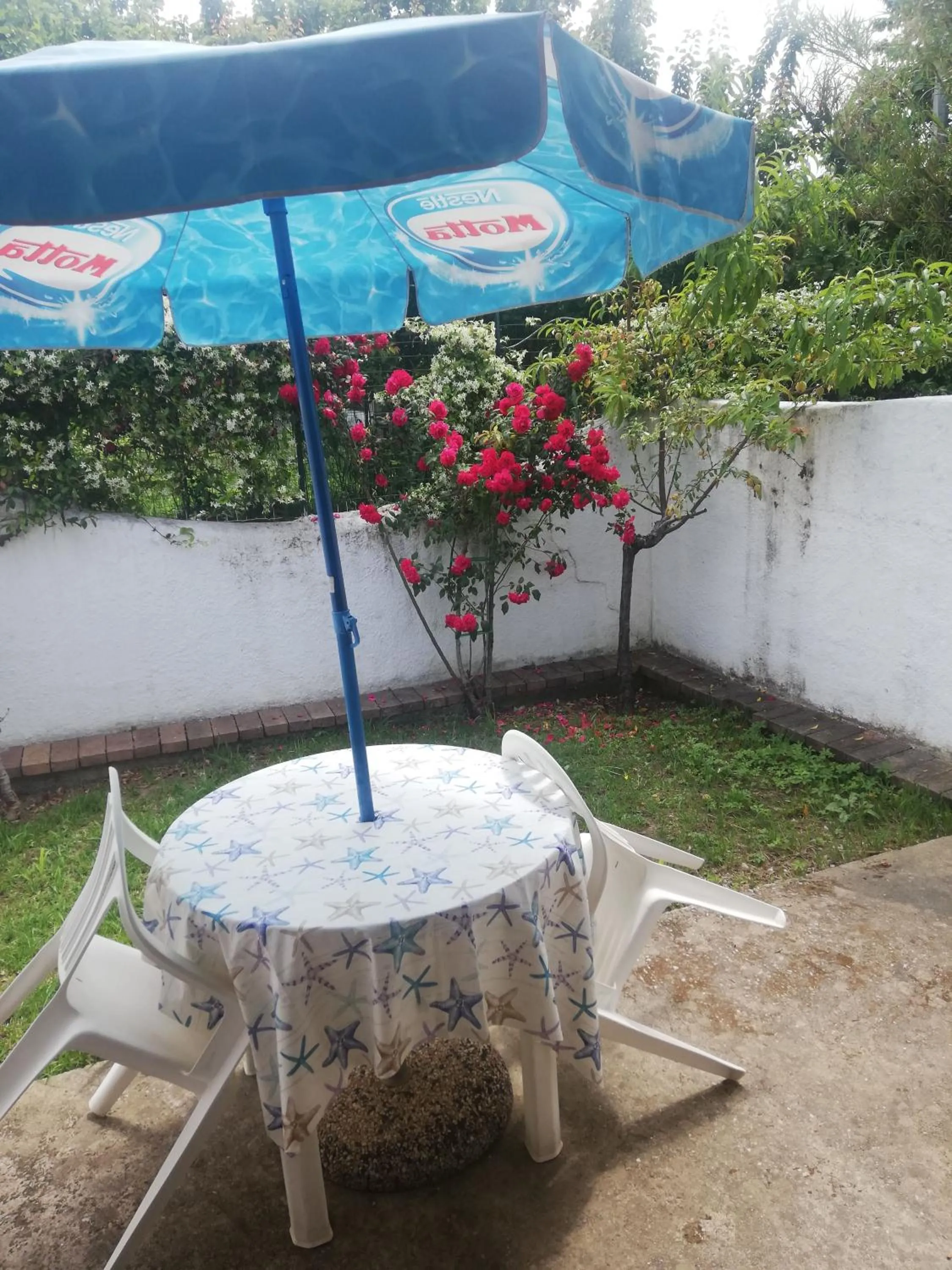 Garden in Hotel Villaggio Tabù