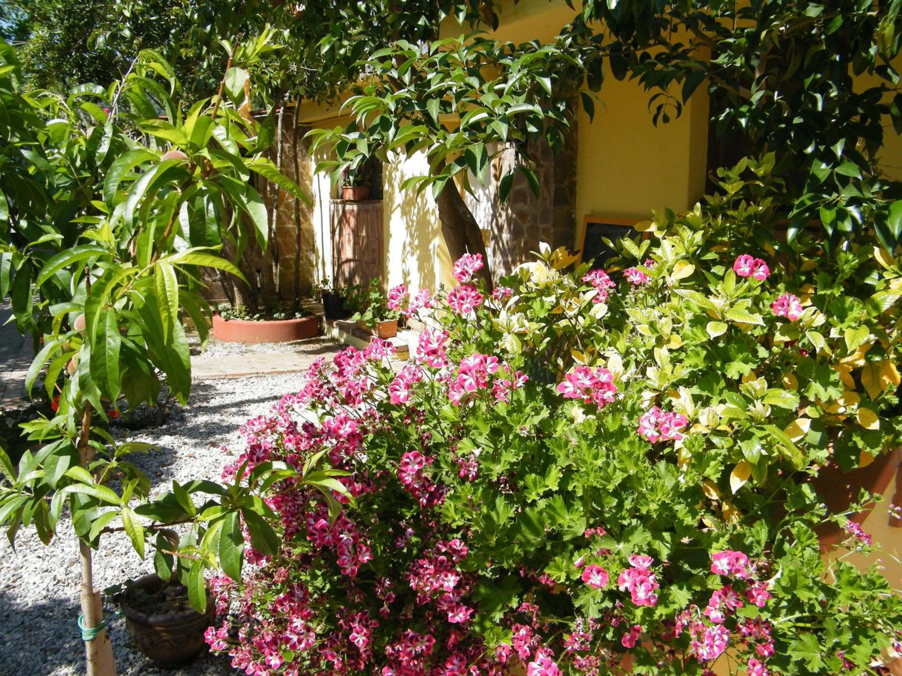 Spring in Hotel Villaggio Tabù