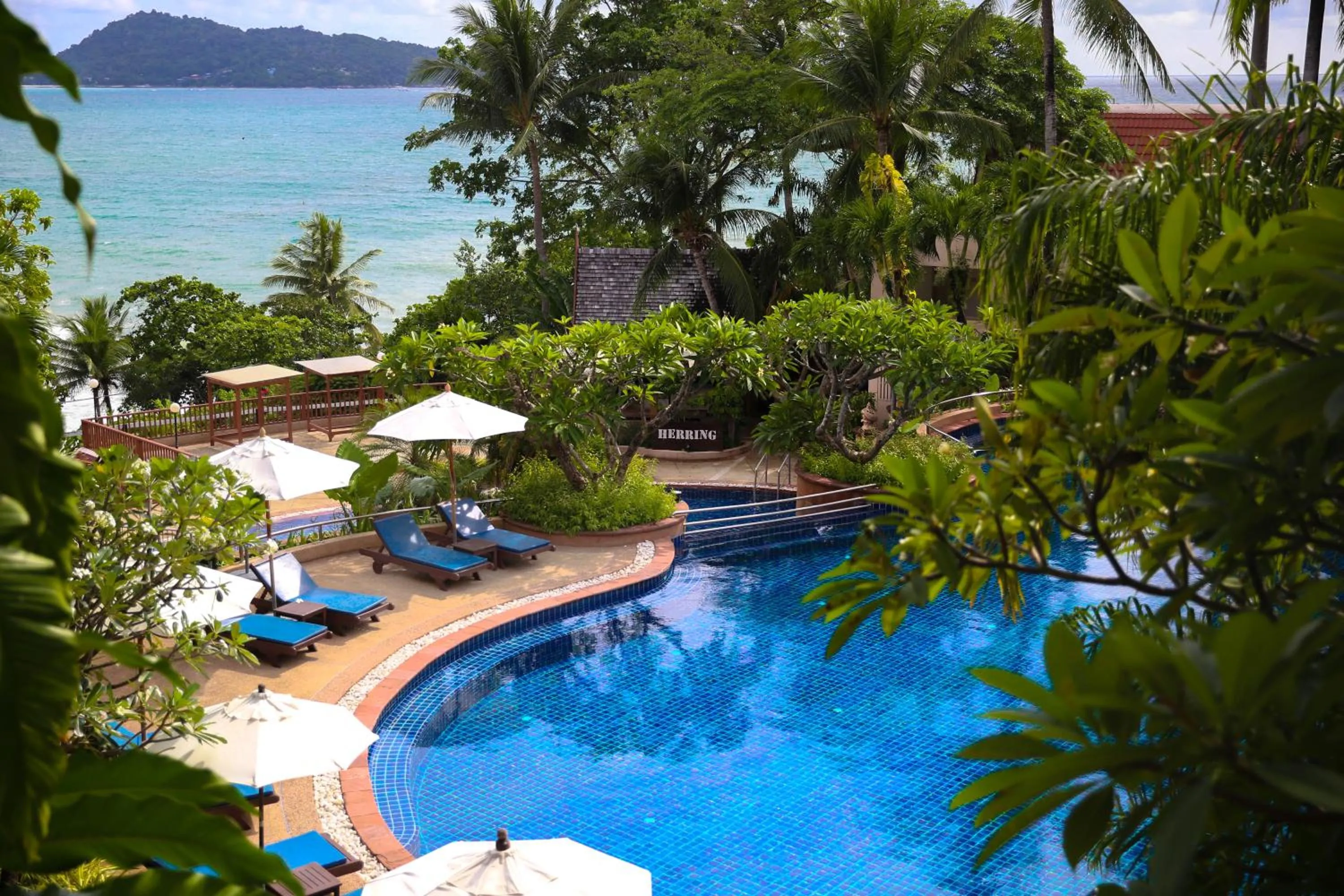 Pool view in Novotel Phuket Resort