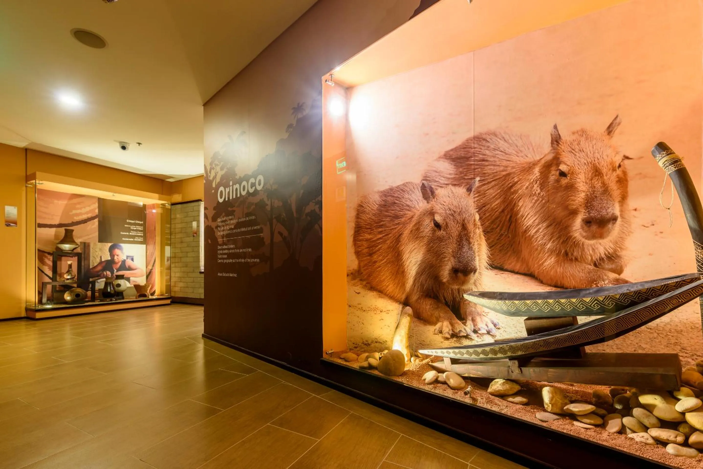 Animals in Diez Hotel Categoría Colombia