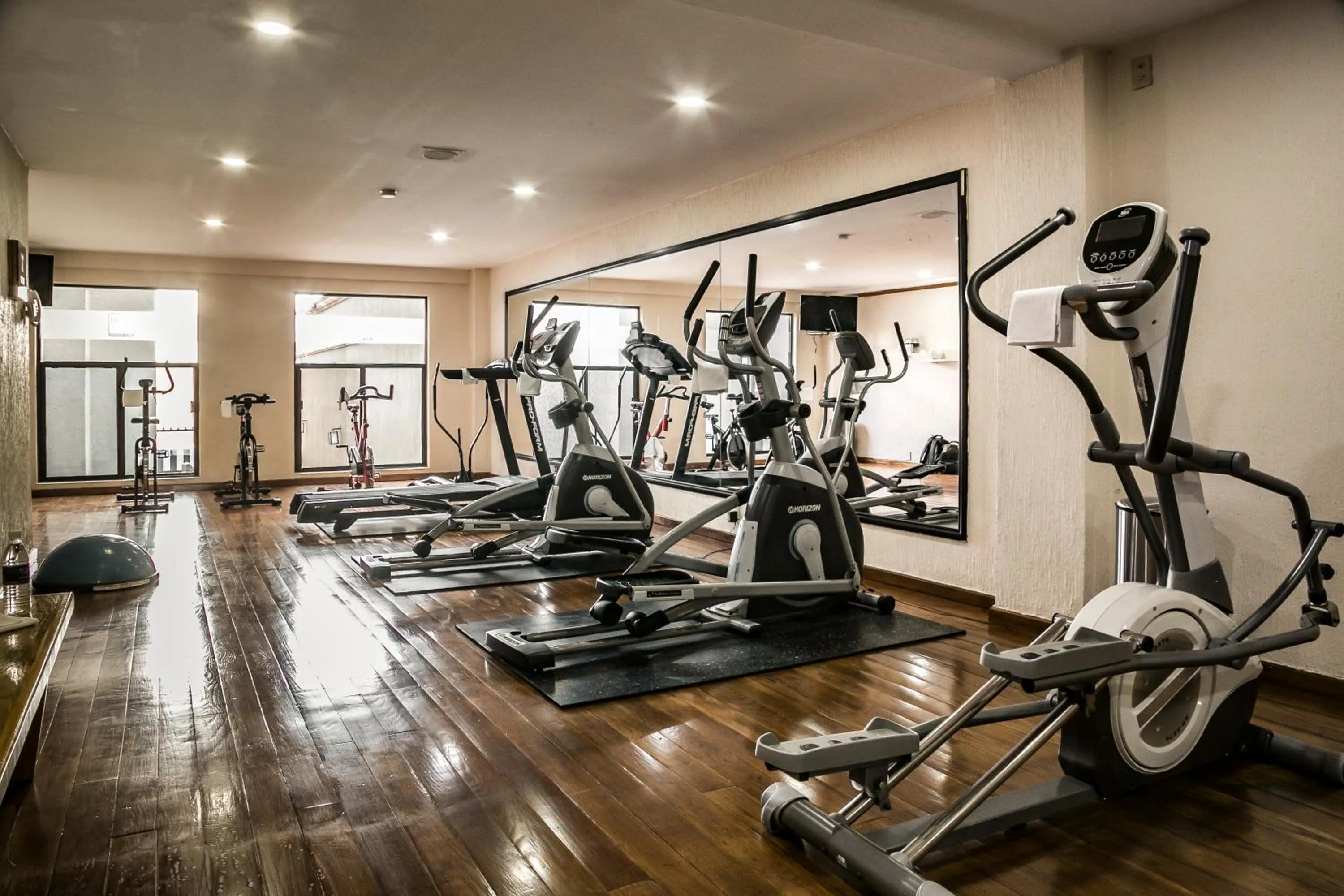 Fitness centre/facilities in Imperio de Angeles Executive León Poliforum