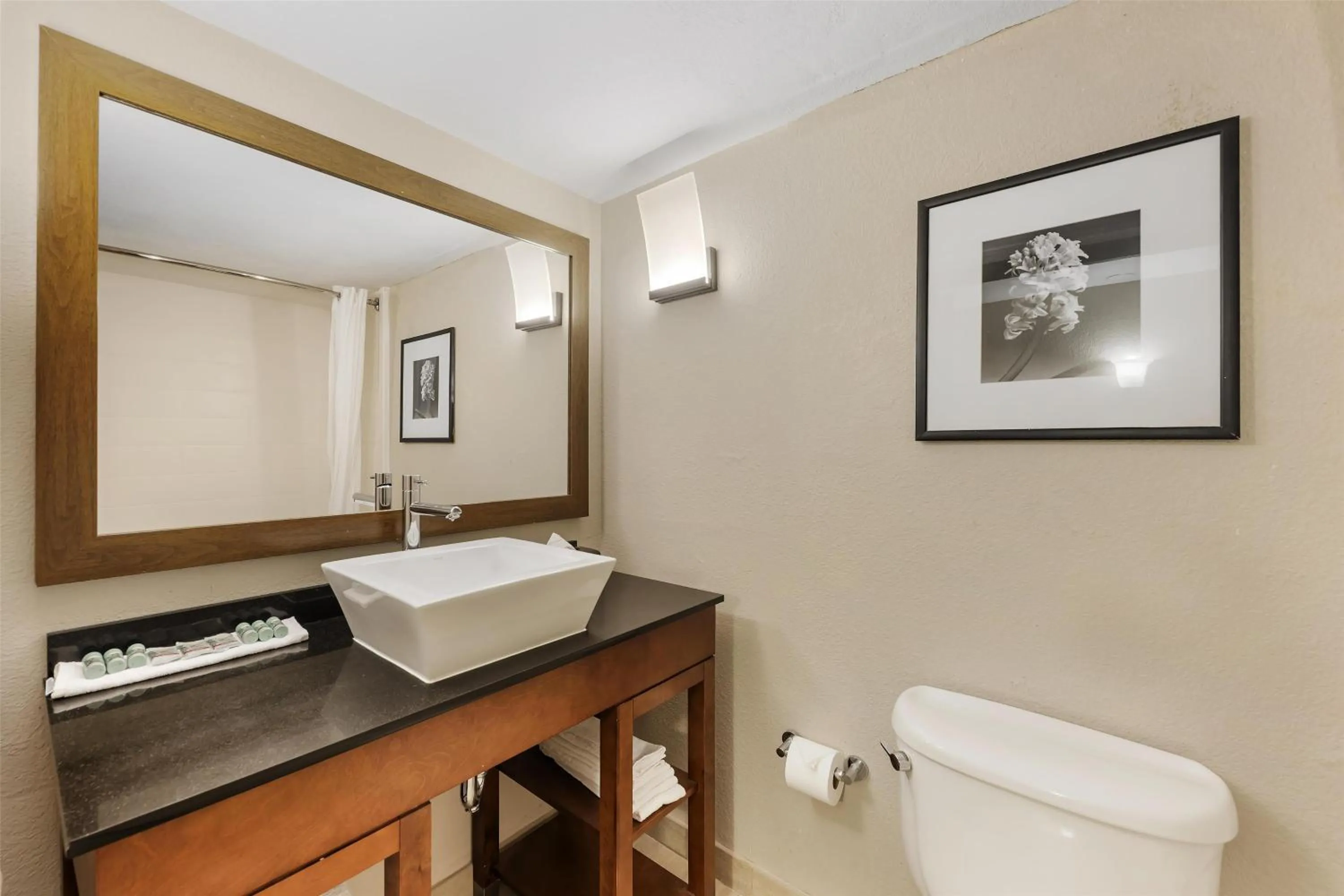 Bathroom in Best Western Alamo Suites