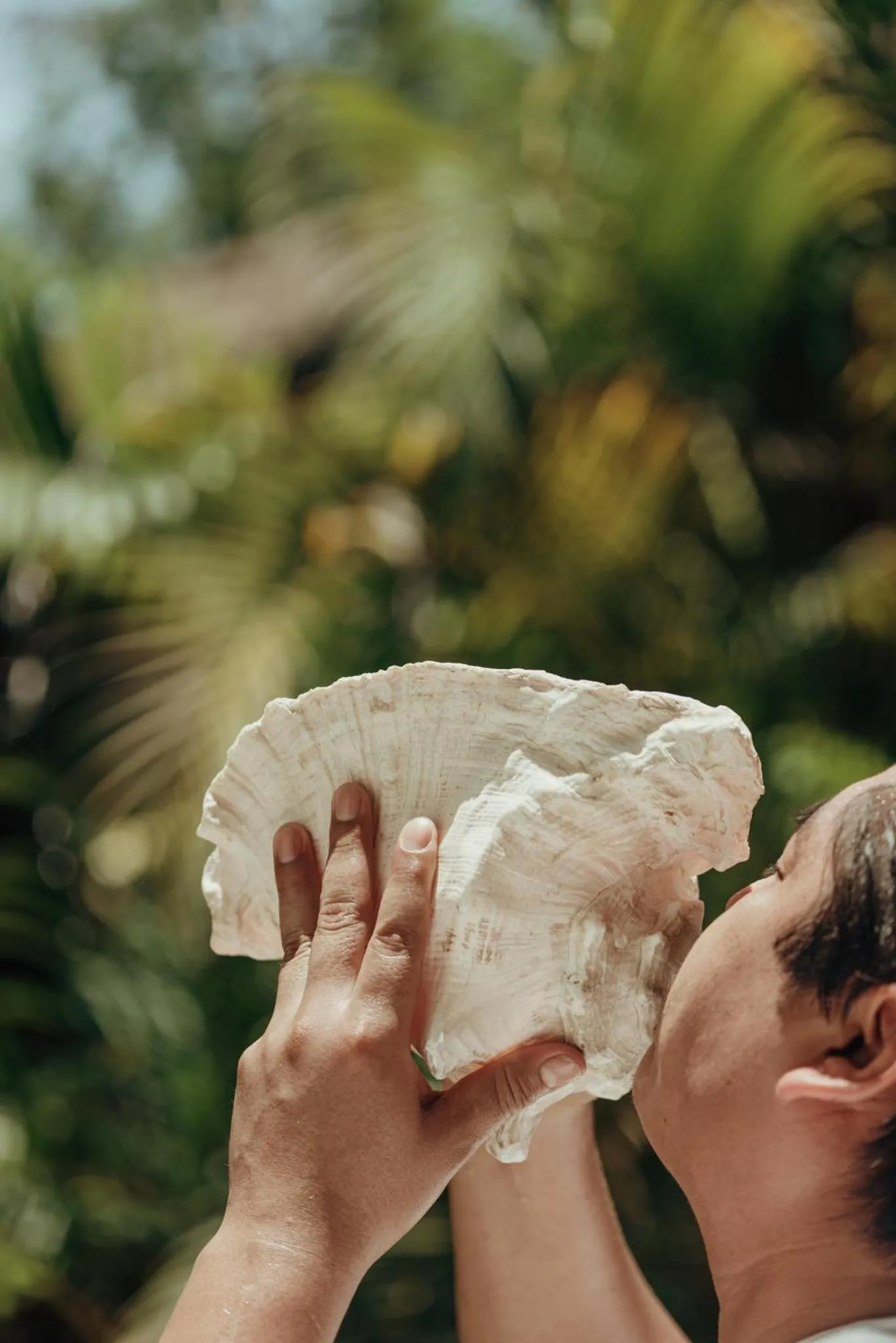 Natural landscape in Viceroy Riviera Maya, a Luxury Villa Resort - Adults Only