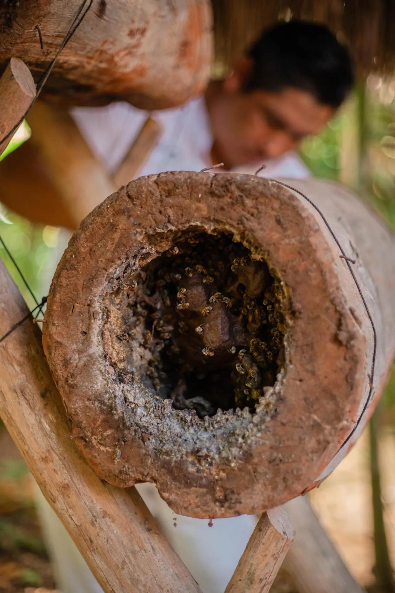 Nearby landmark in Viceroy Riviera Maya, a Luxury Villa Resort - Adults Only