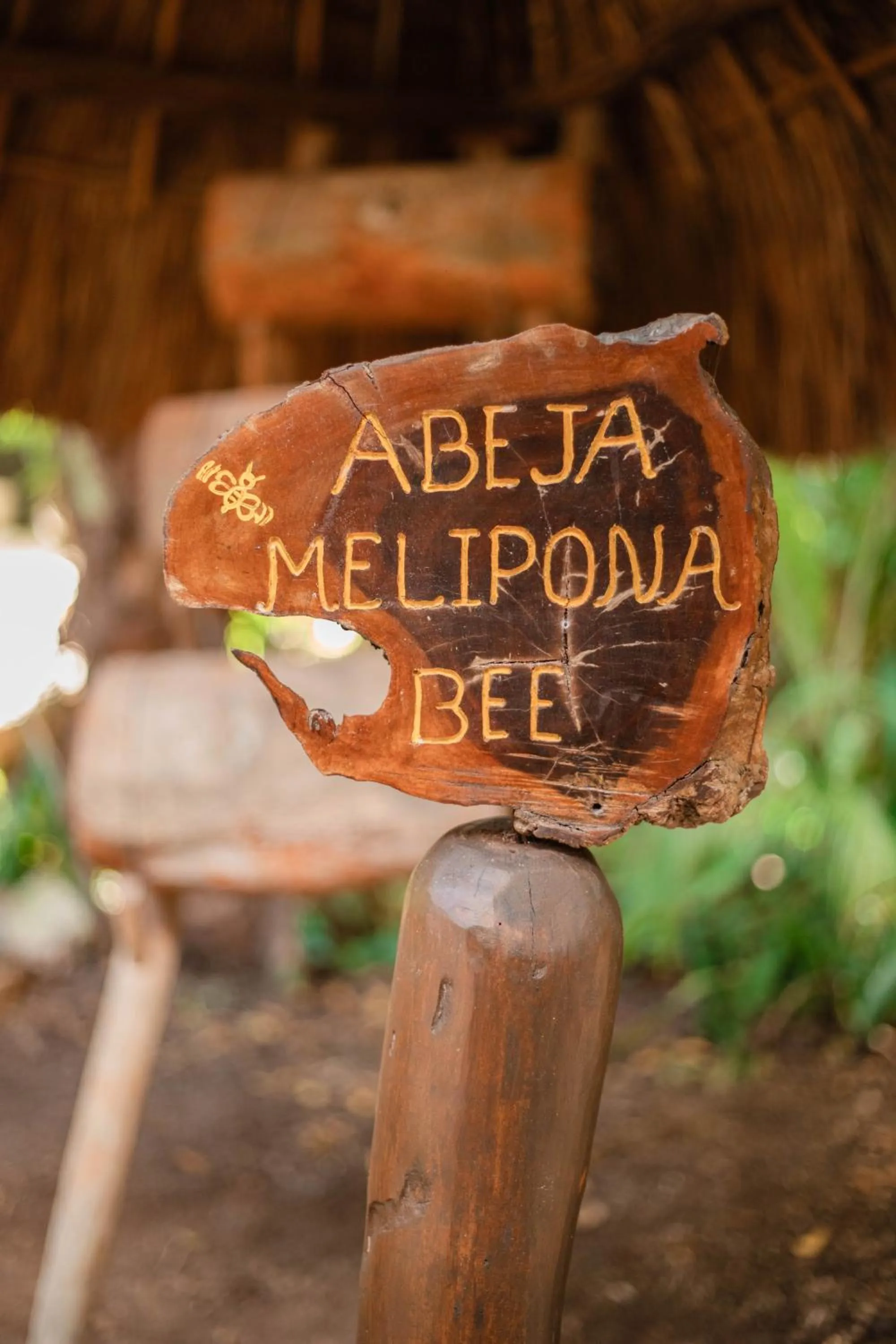 Spa and wellness centre/facilities in Viceroy Riviera Maya, a Luxury Villa Resort