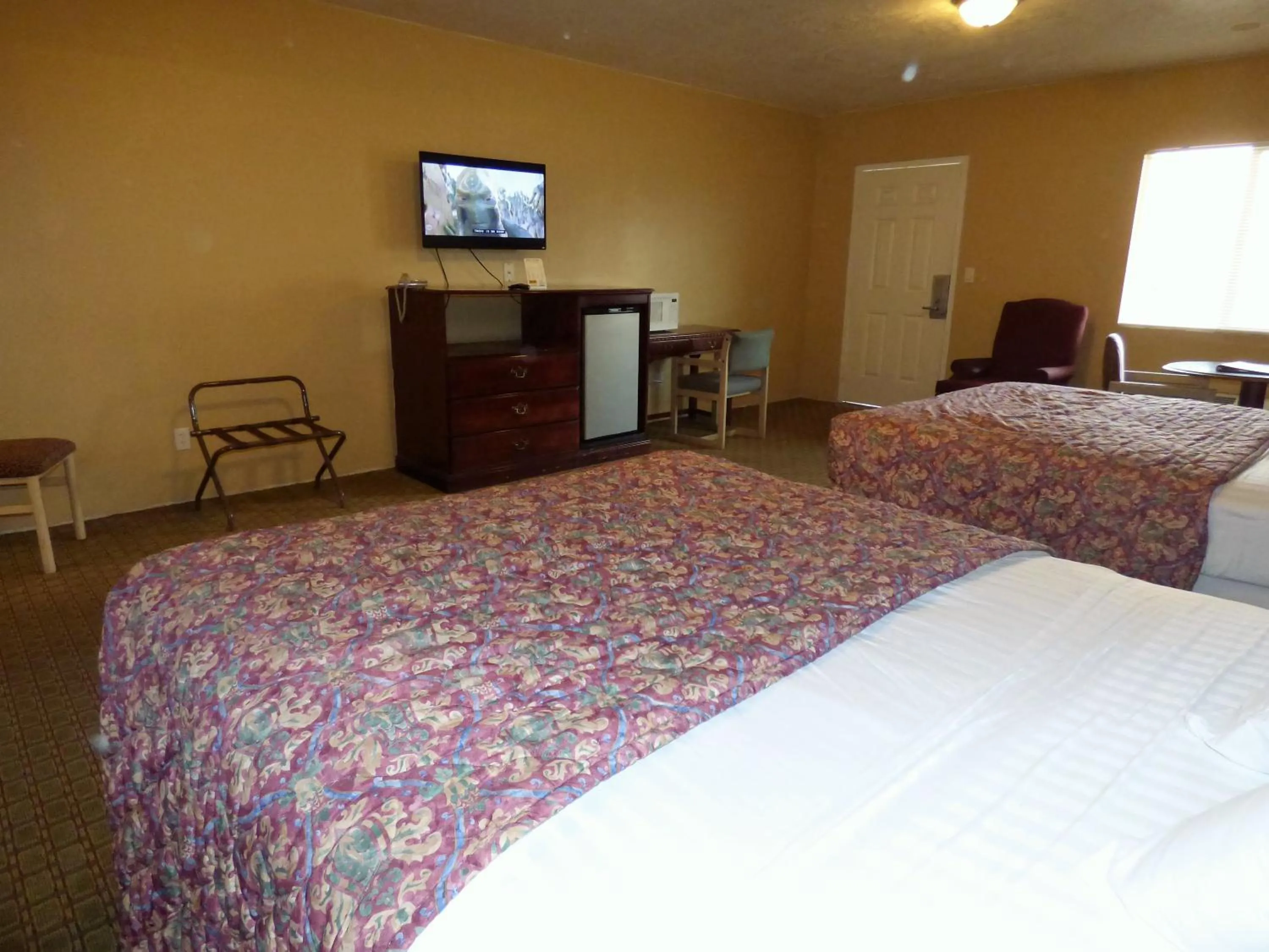 Photo of the whole room, Bed in Economy Inn & Suites