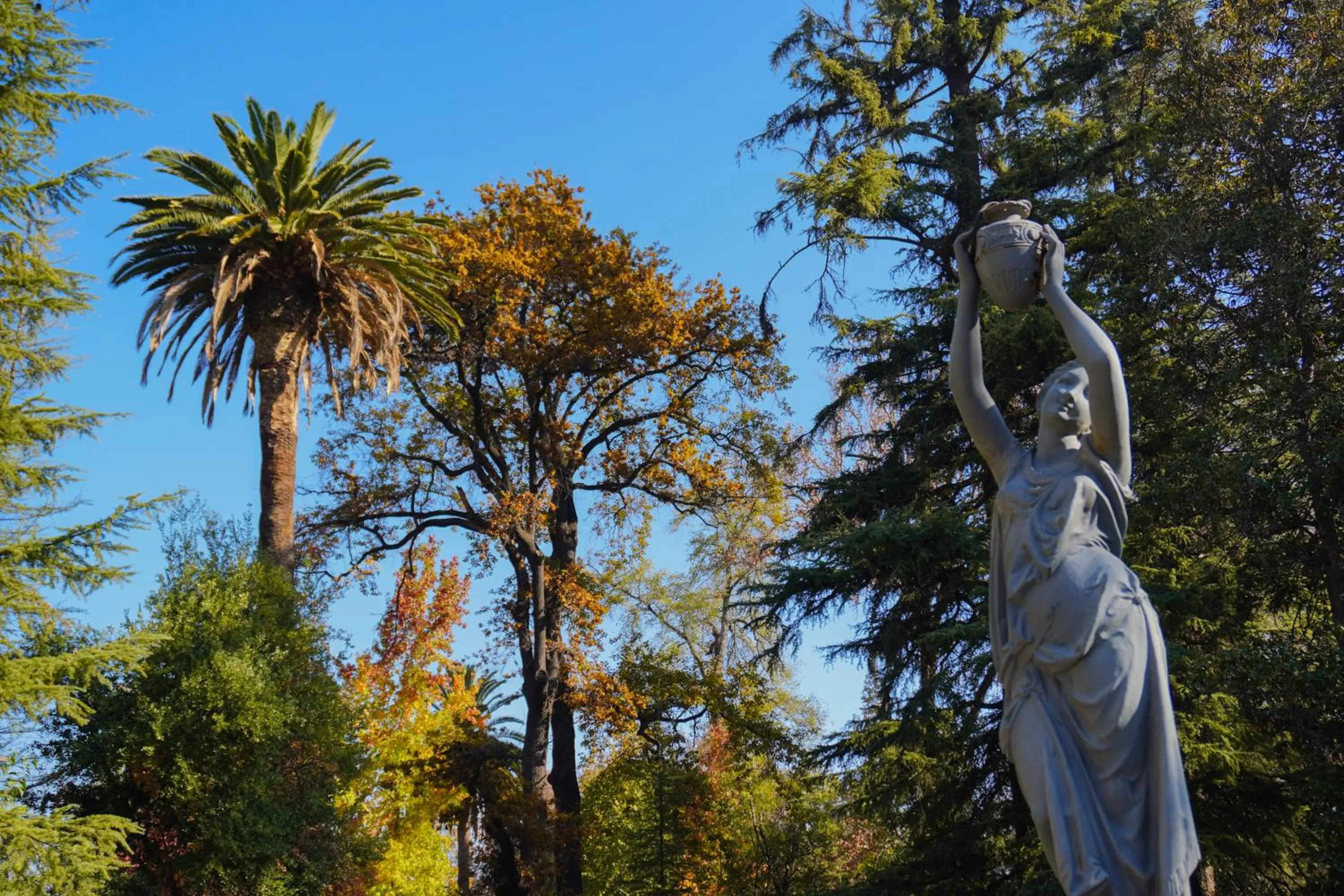 Natural landscape in Las Majadas Hotel & Centro de Reuniones