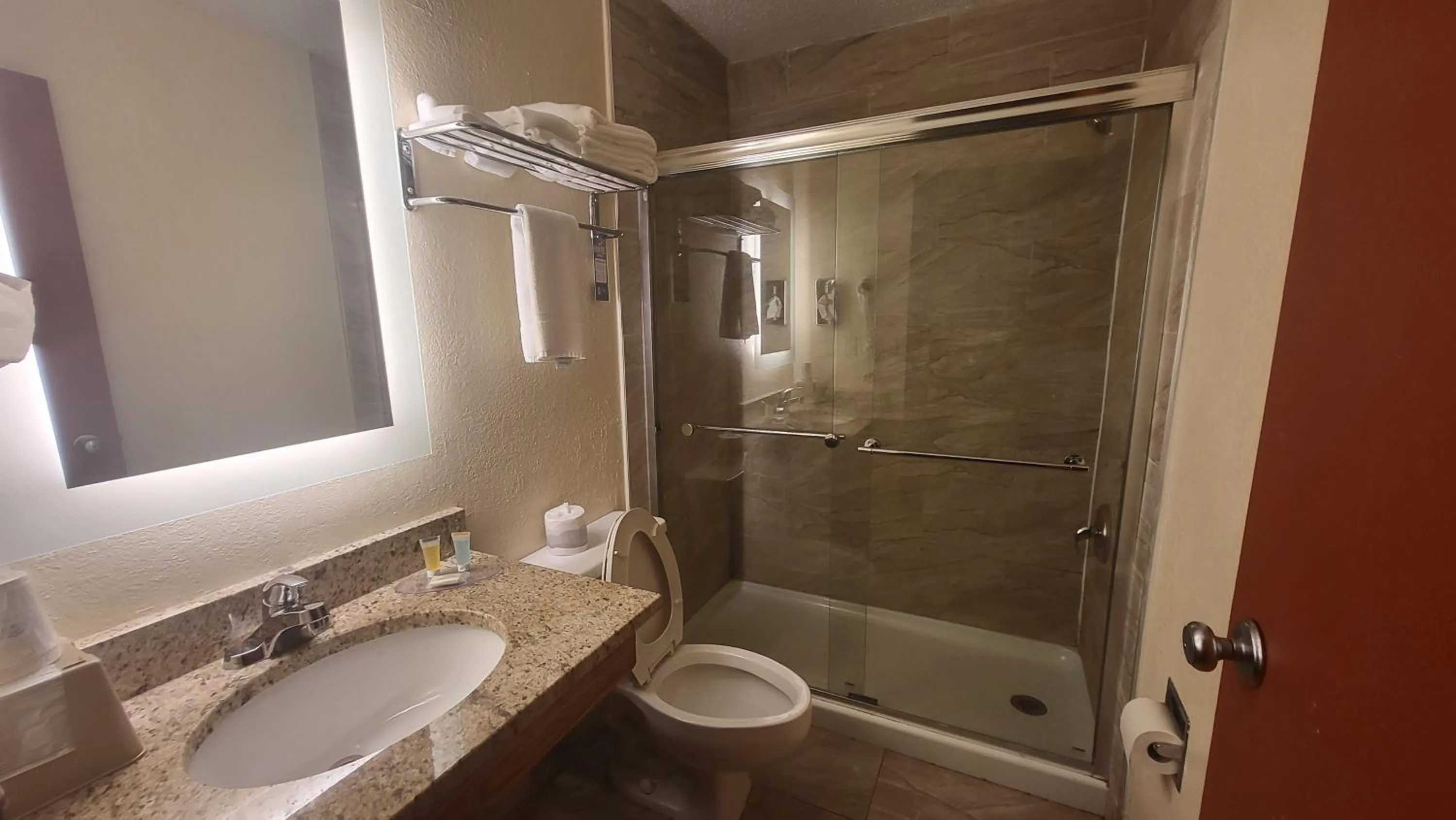 Bathroom in Super 8 by Wyndham Canton/Livonia Area