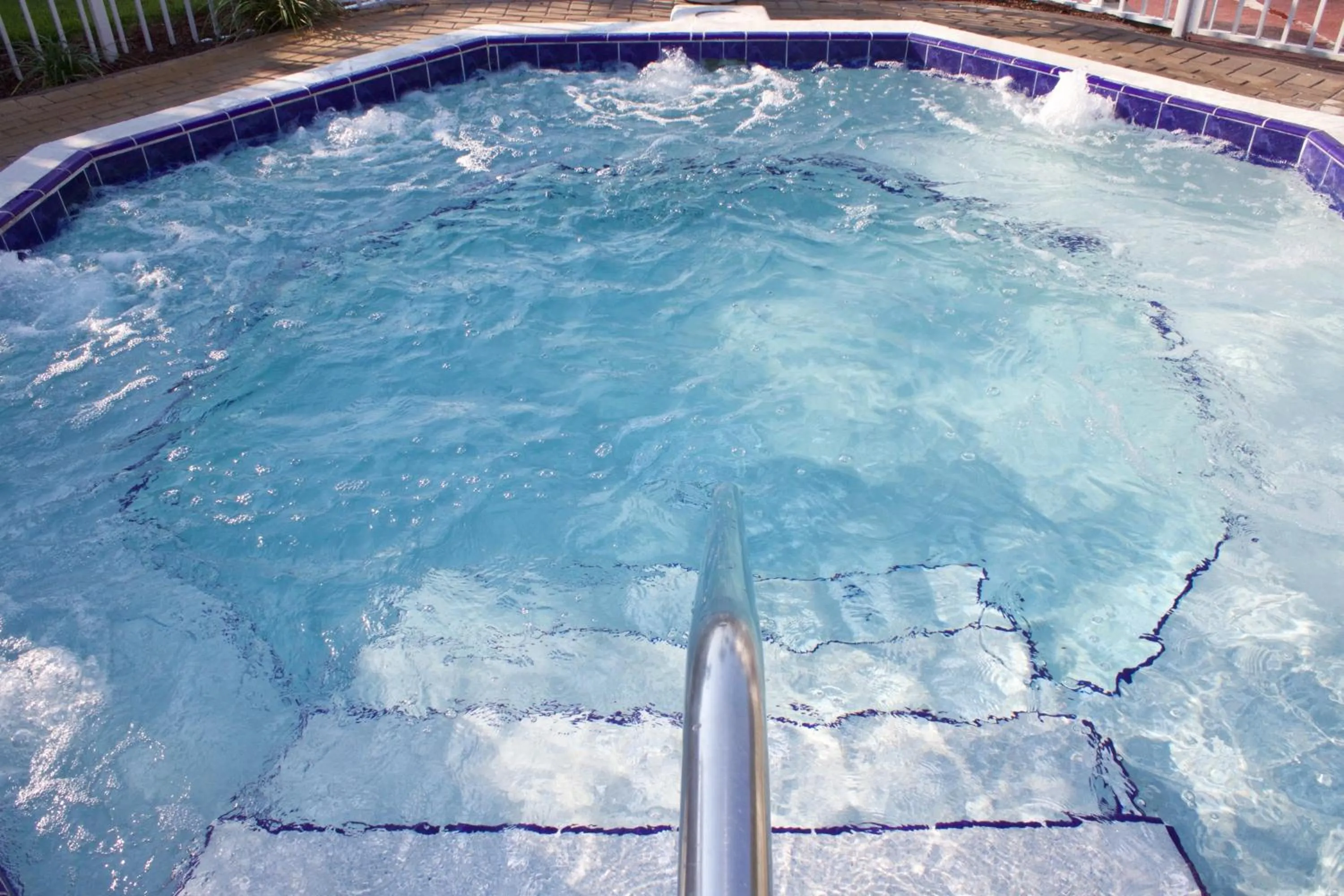 Garden in Marina Bay Resort