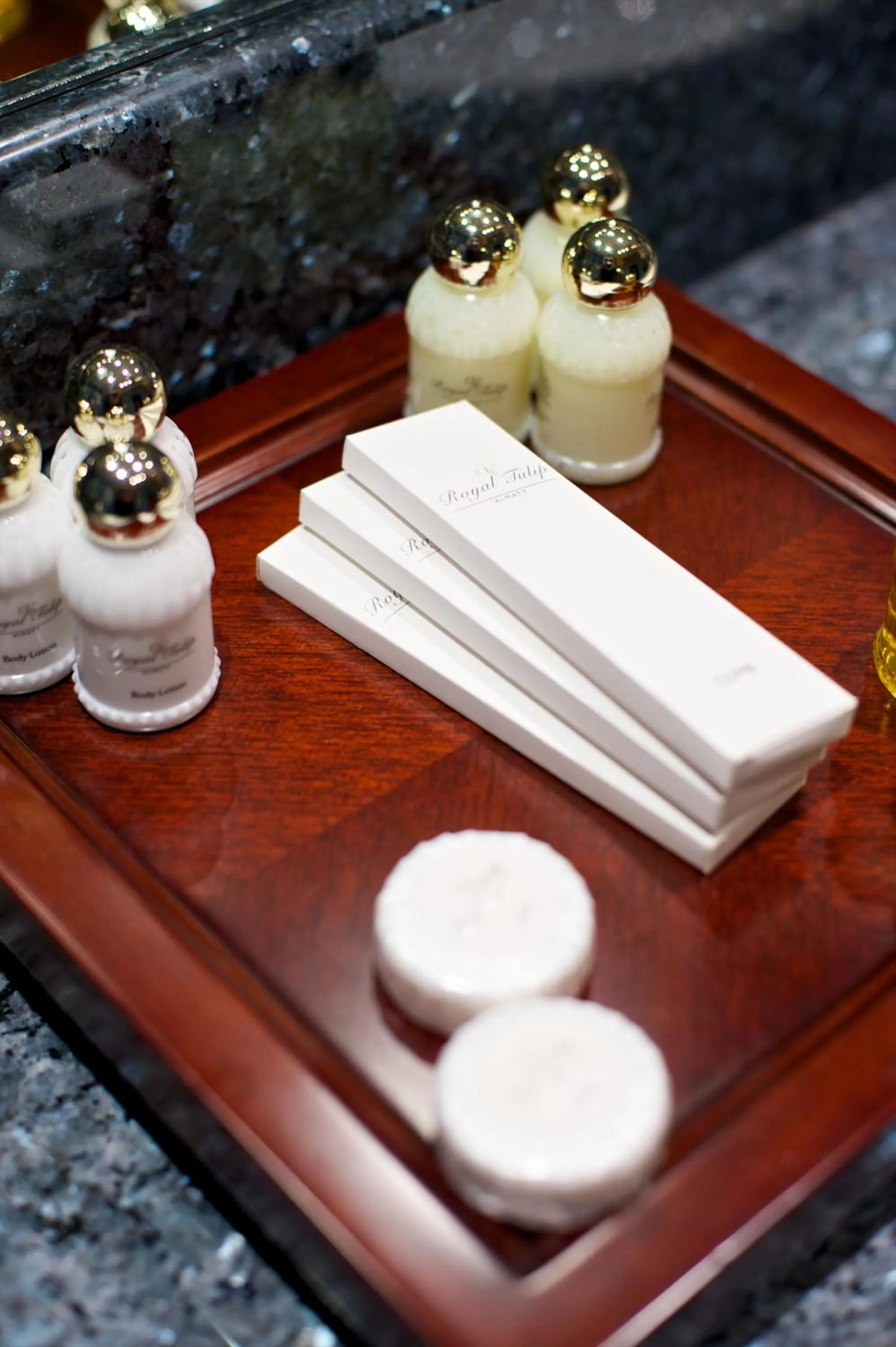 Sauna in Royal Tulip Almaty Hotel