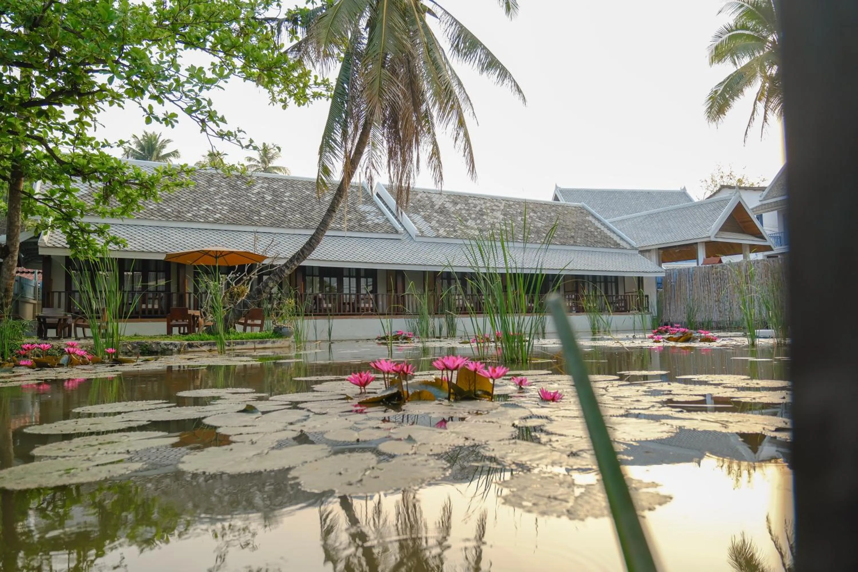 Natural landscape in Villa Oasis