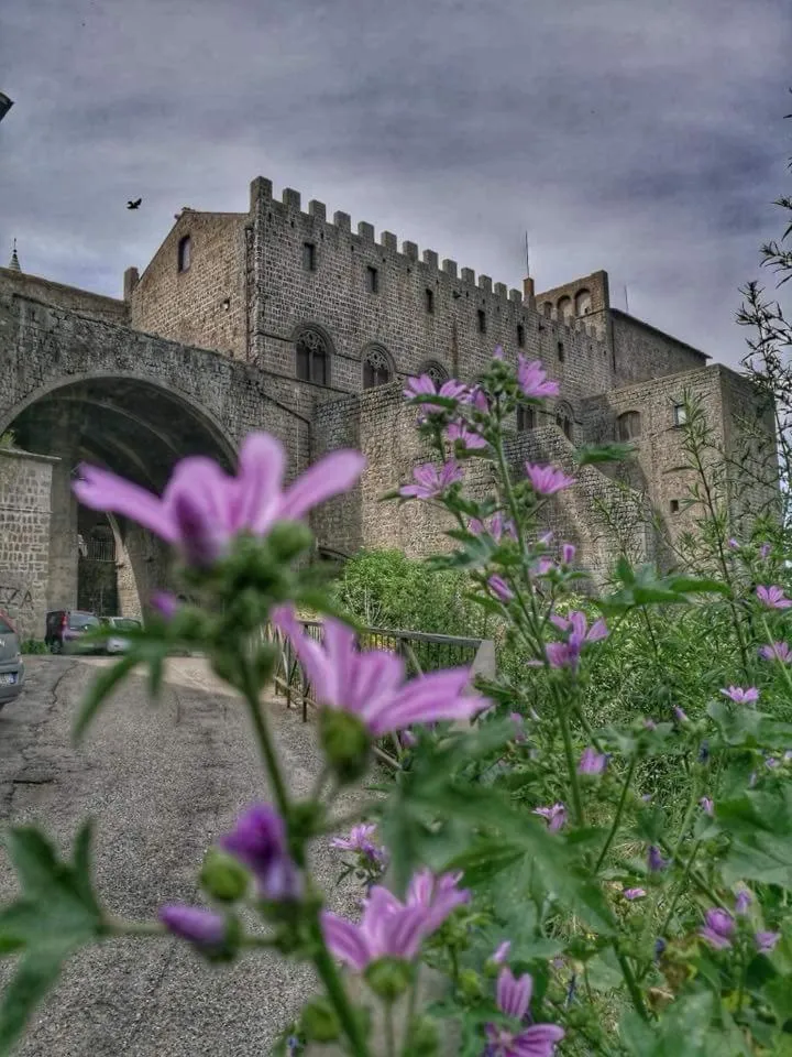 B&B Le Cinque Querce