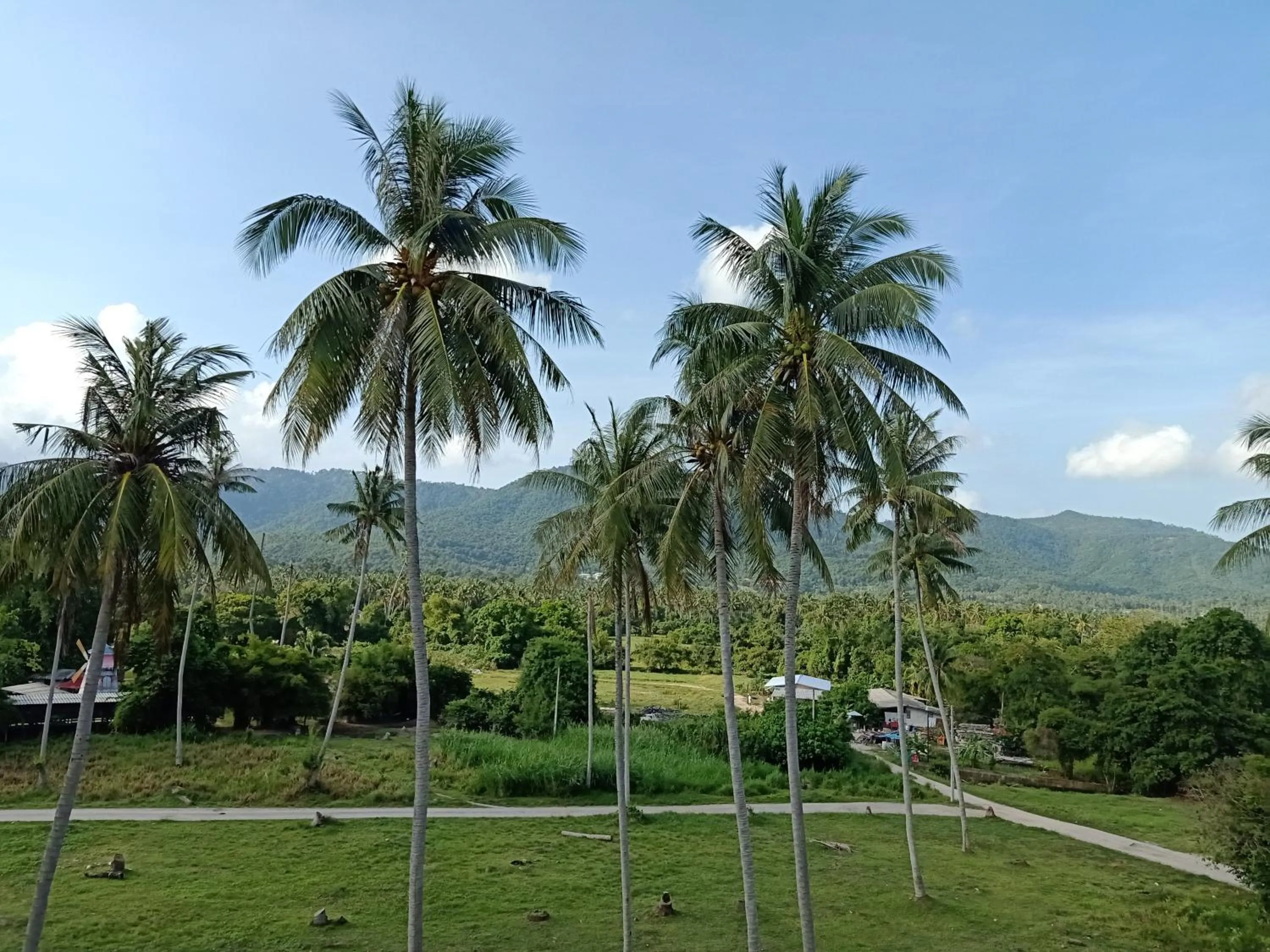 Garden view in Amarin Samui Hotel - SHA Plus Certified