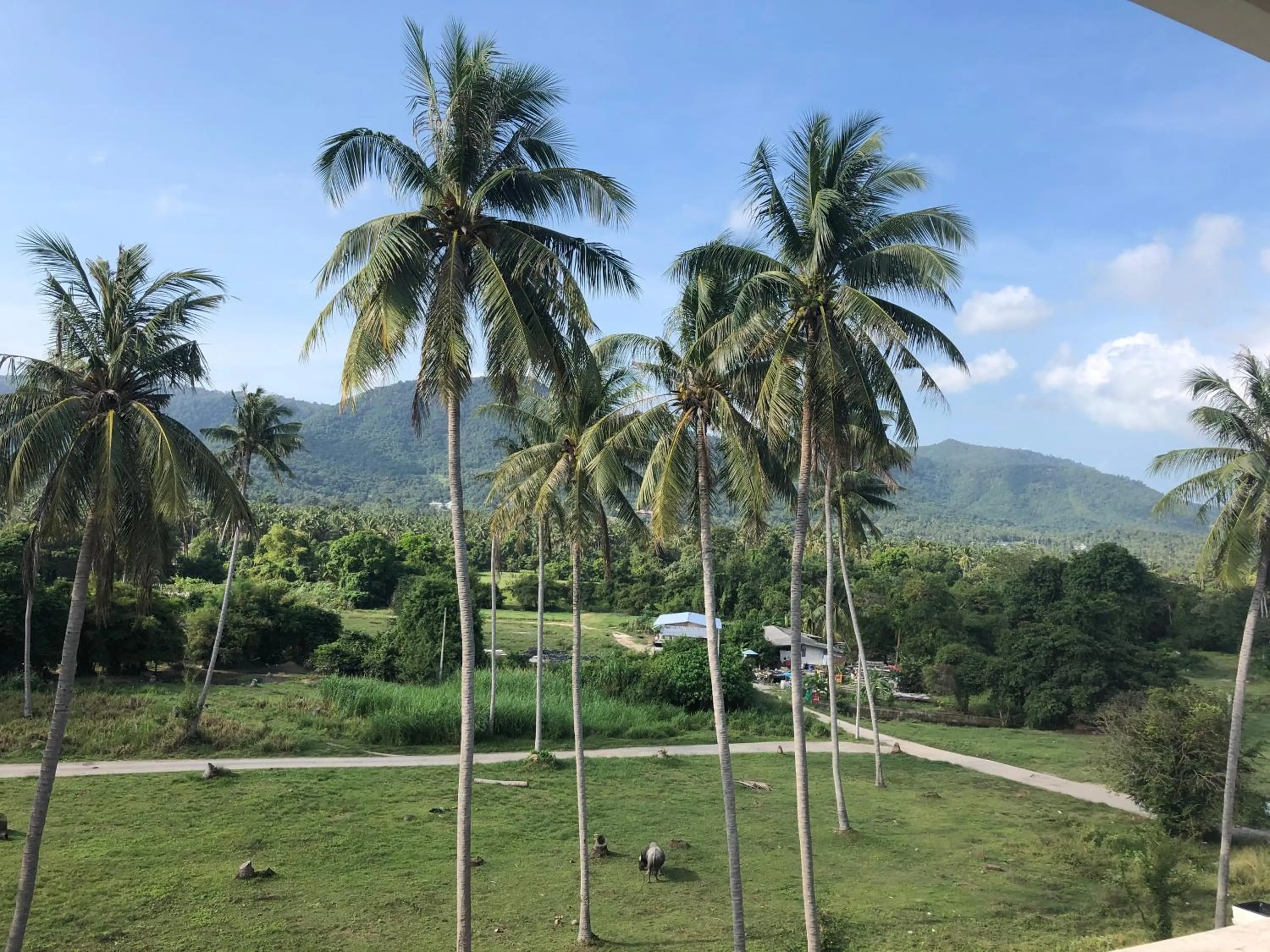 Swimming pool in Amarin Samui Hotel - SHA Plus Certified