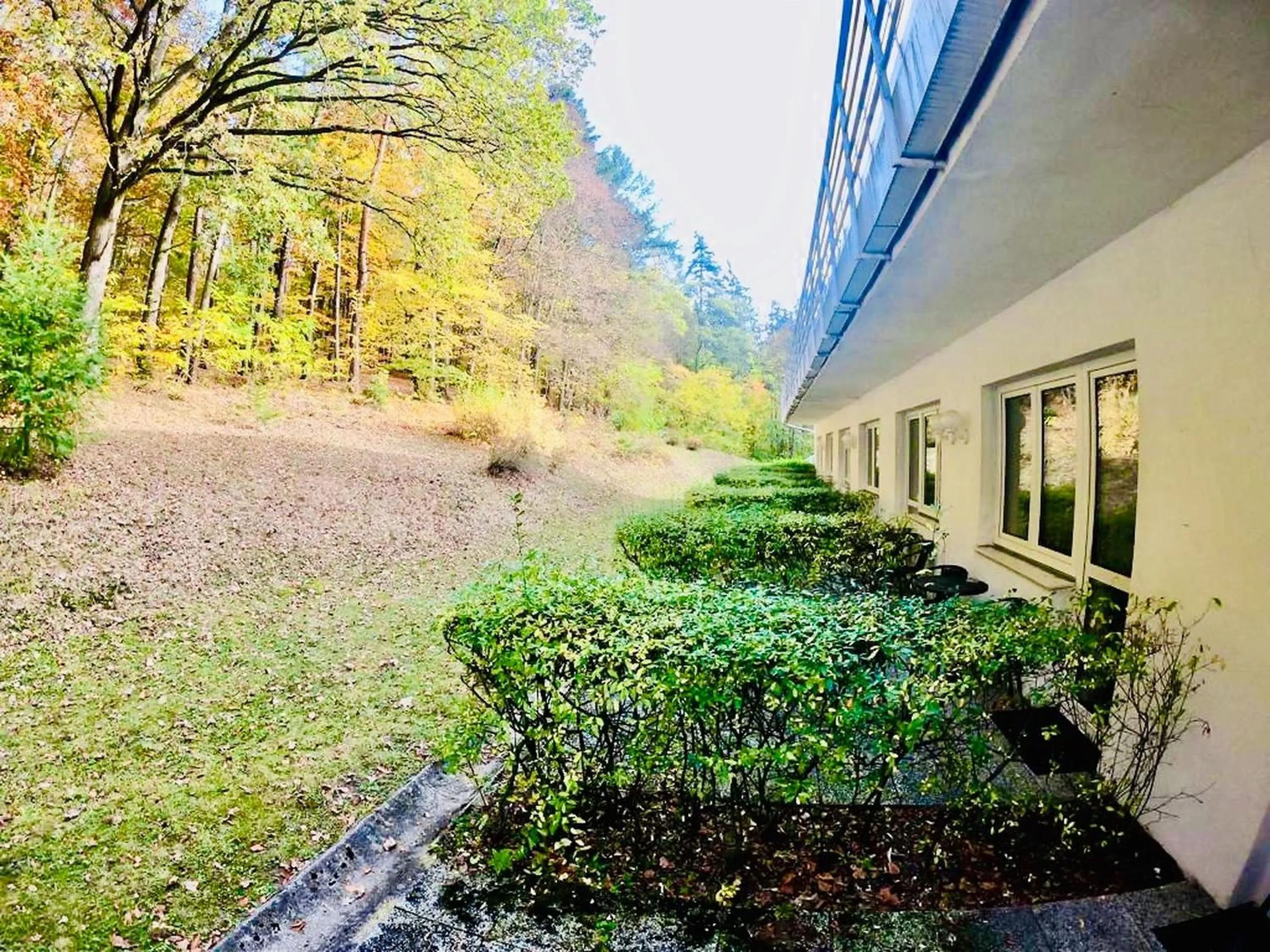 Garden in Interhotel America