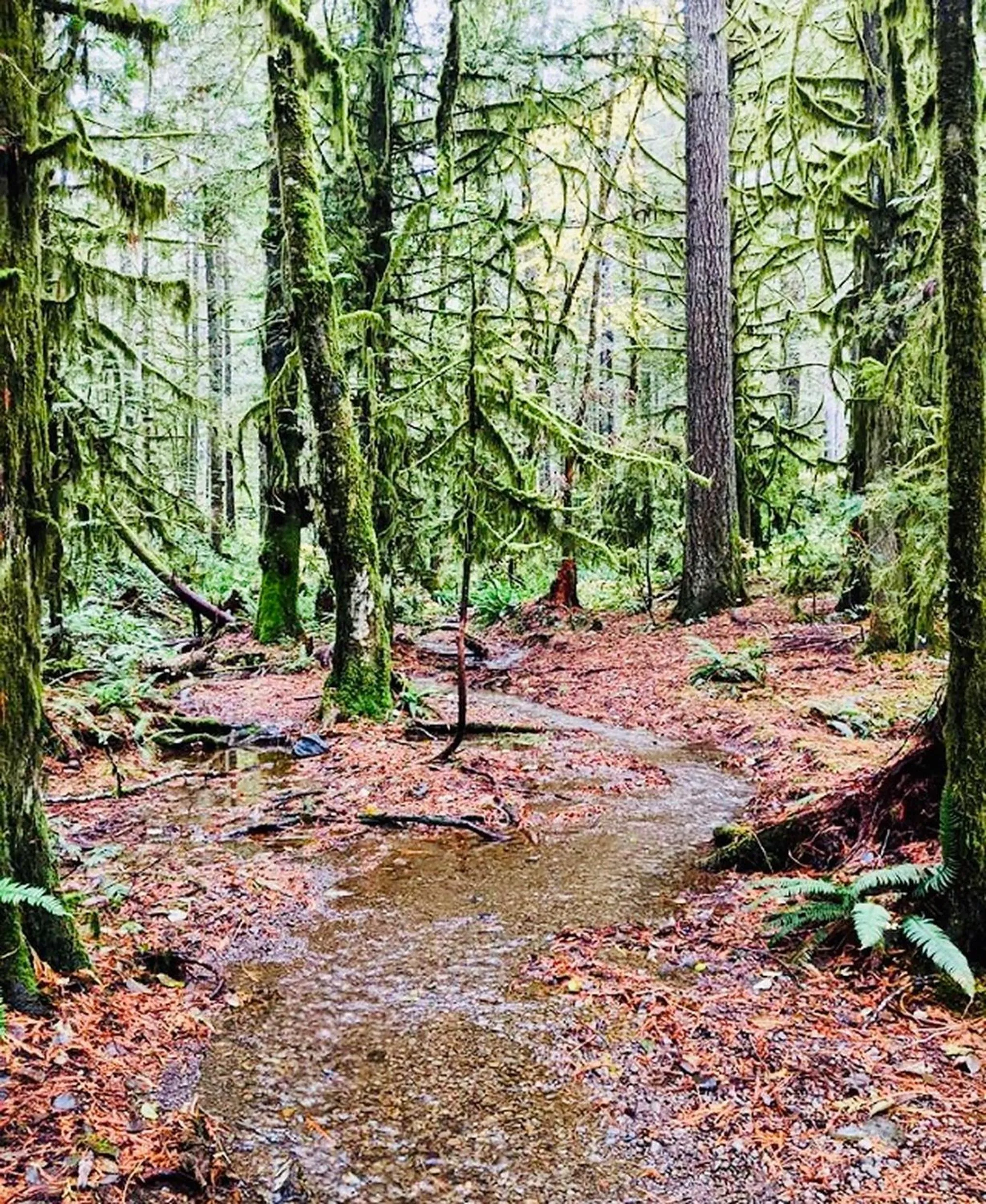 Natural landscape in Interhotel America