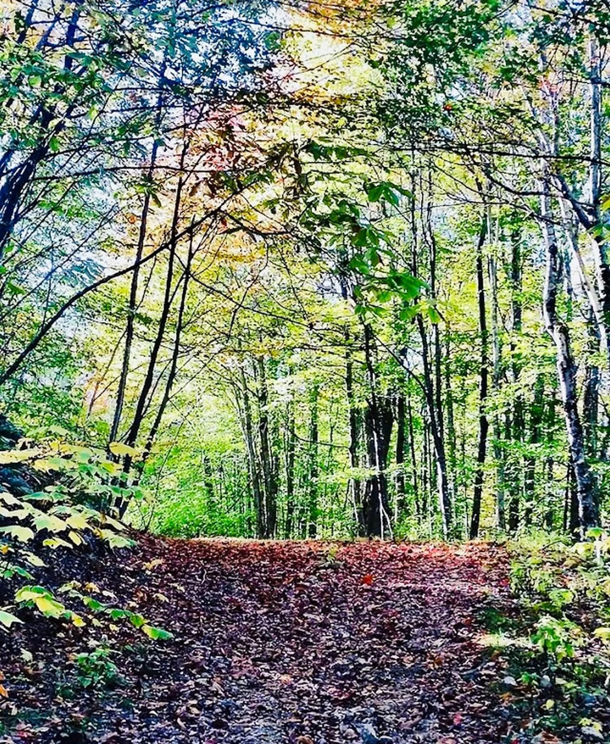 Natural landscape in Interhotel America