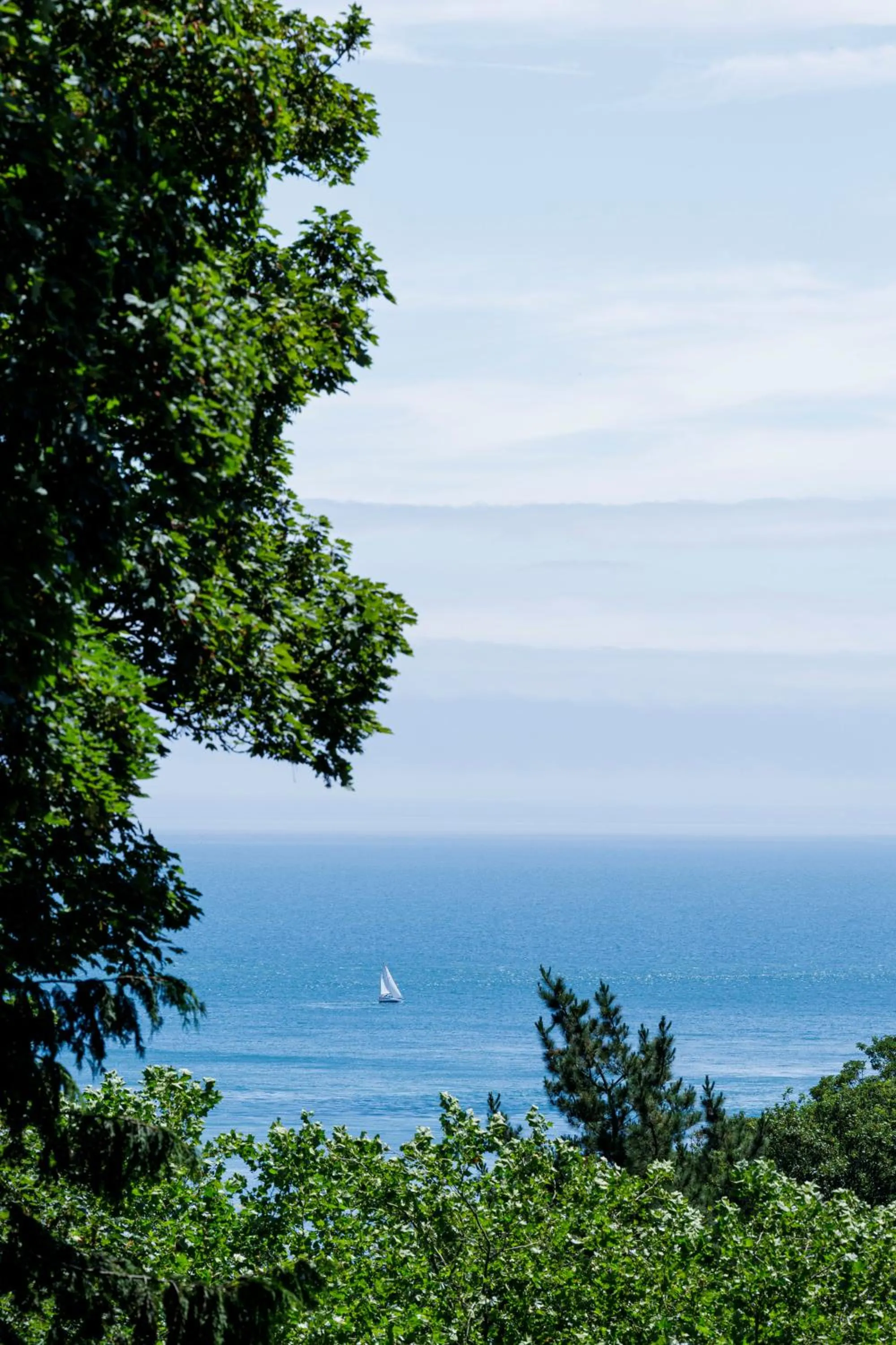 Natural landscape in Fermain Valley Hotel
