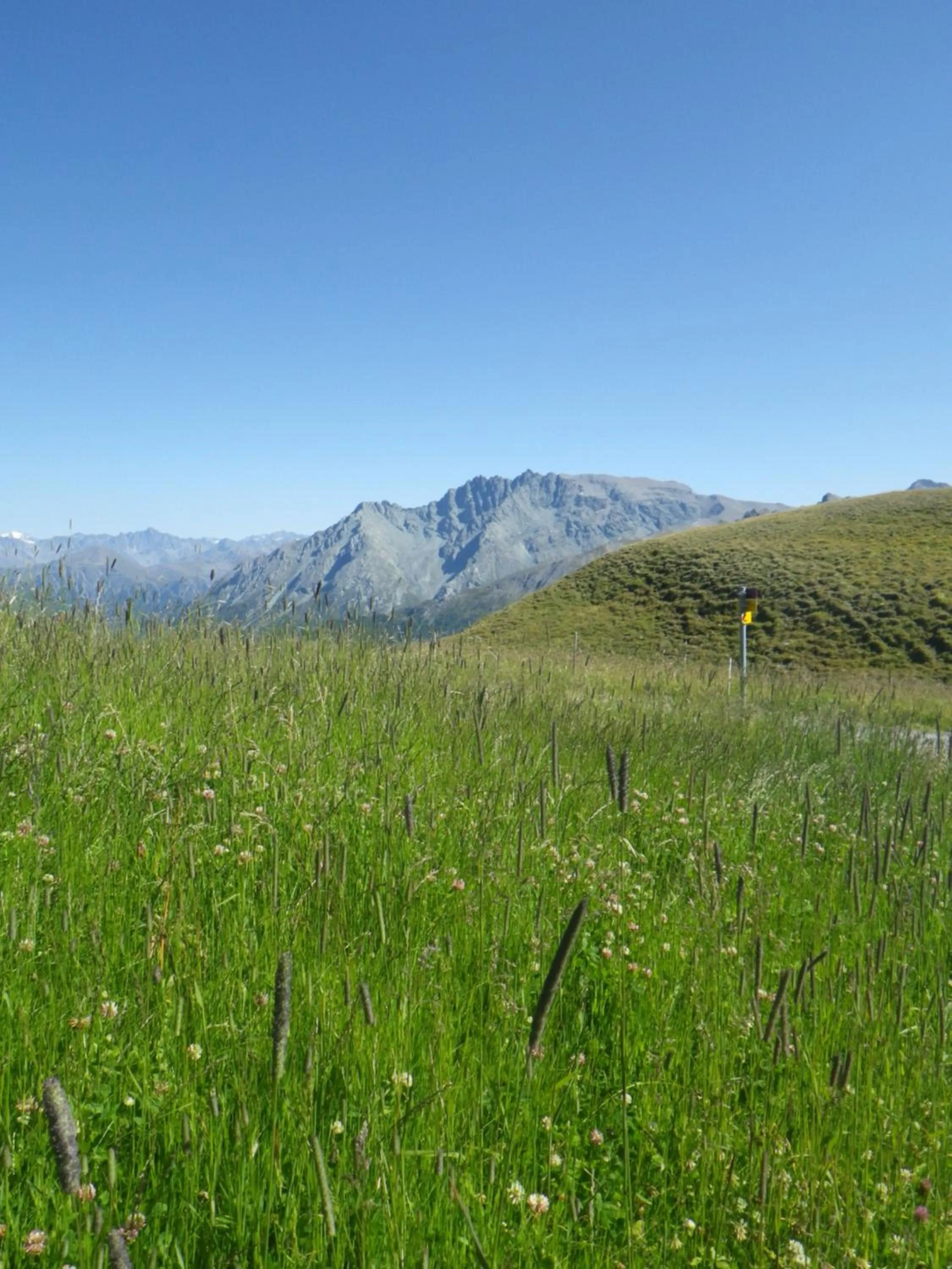 Hiking in Apart-Garni Motnaida