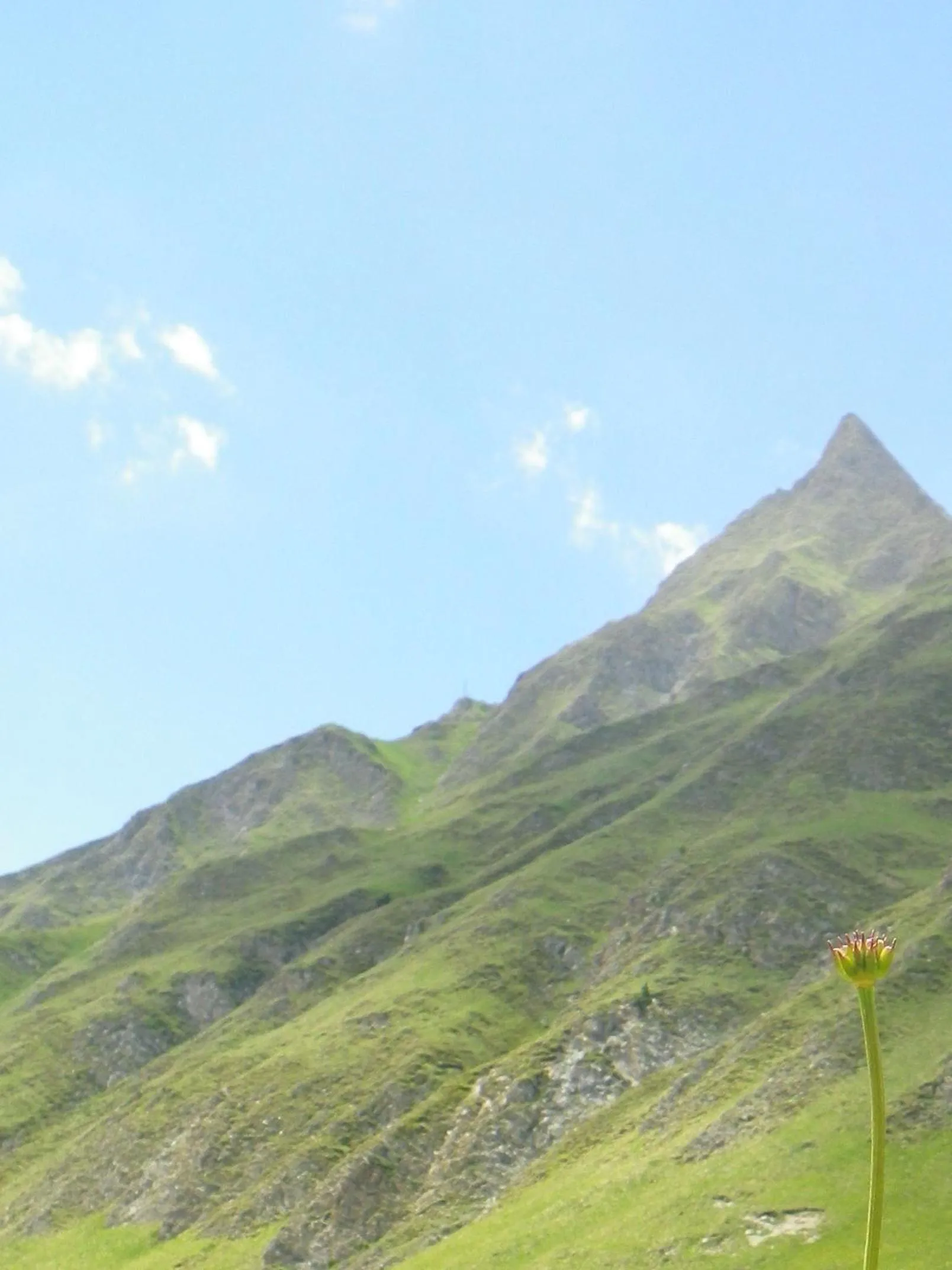 Natural landscape in Apart-Garni Motnaida