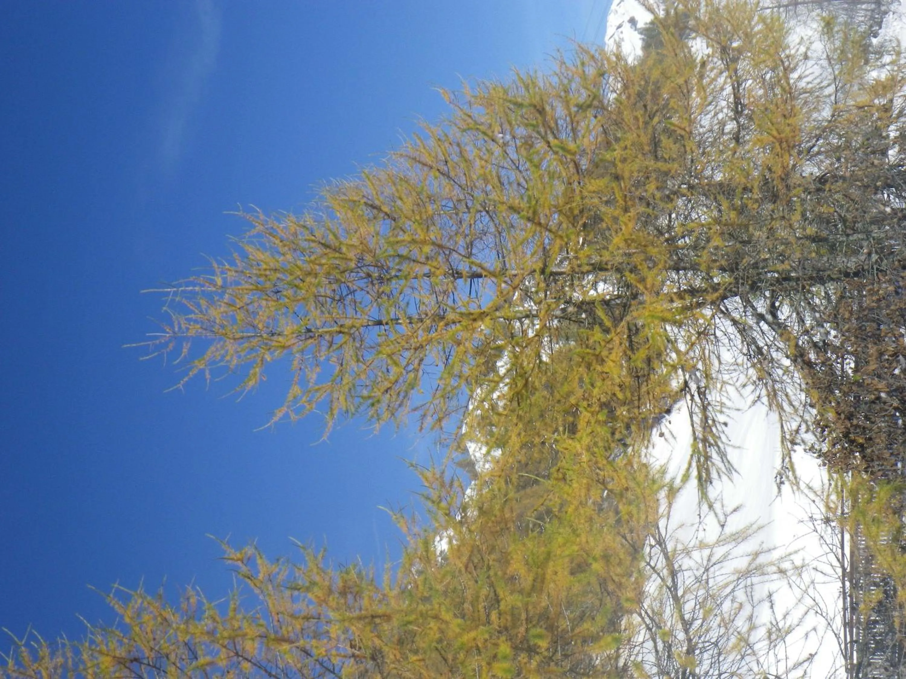 Hiking in Apart-Garni Motnaida