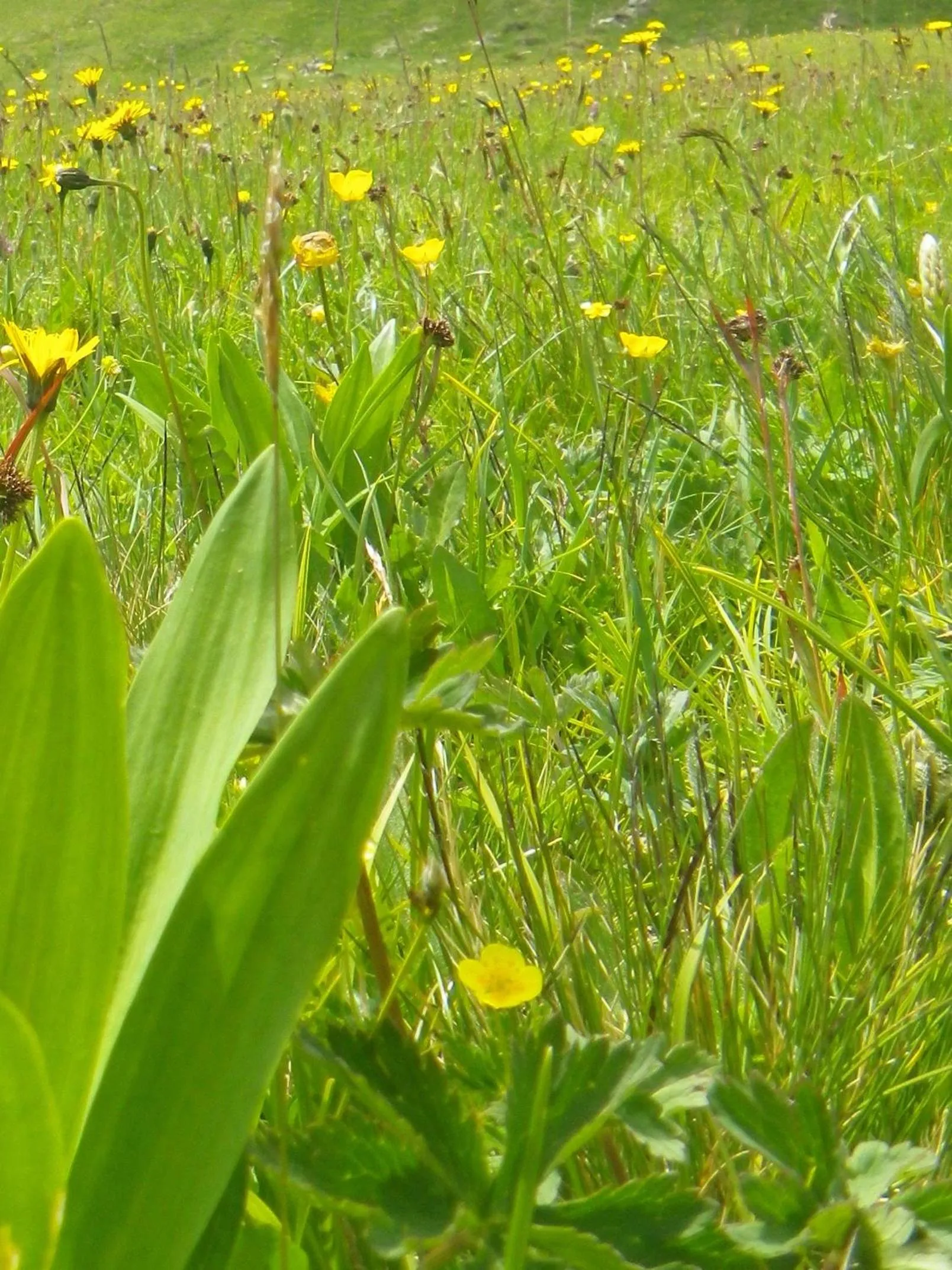 Hiking in Apart-Garni Motnaida