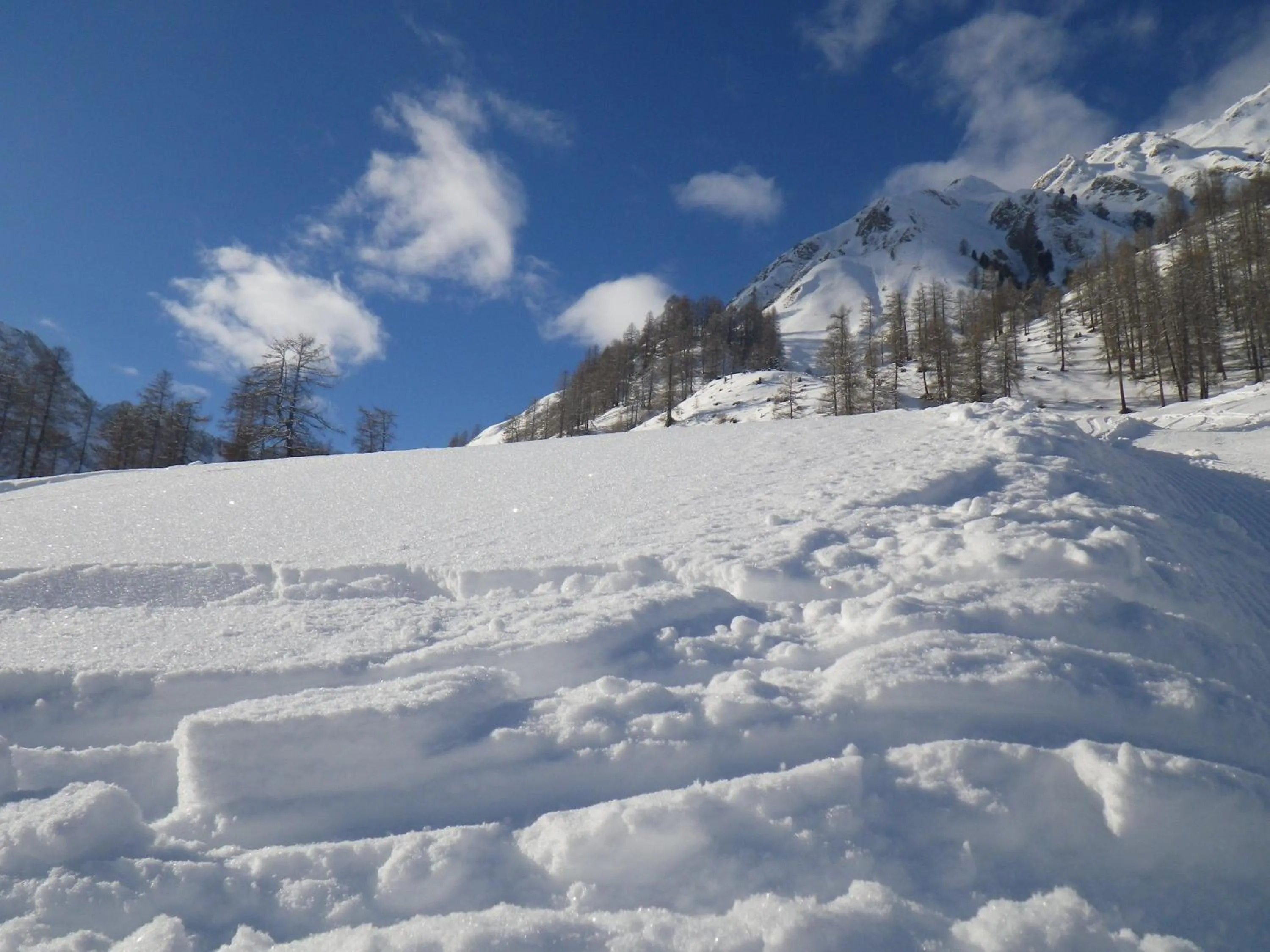 Skiing in Apart-Garni Motnaida
