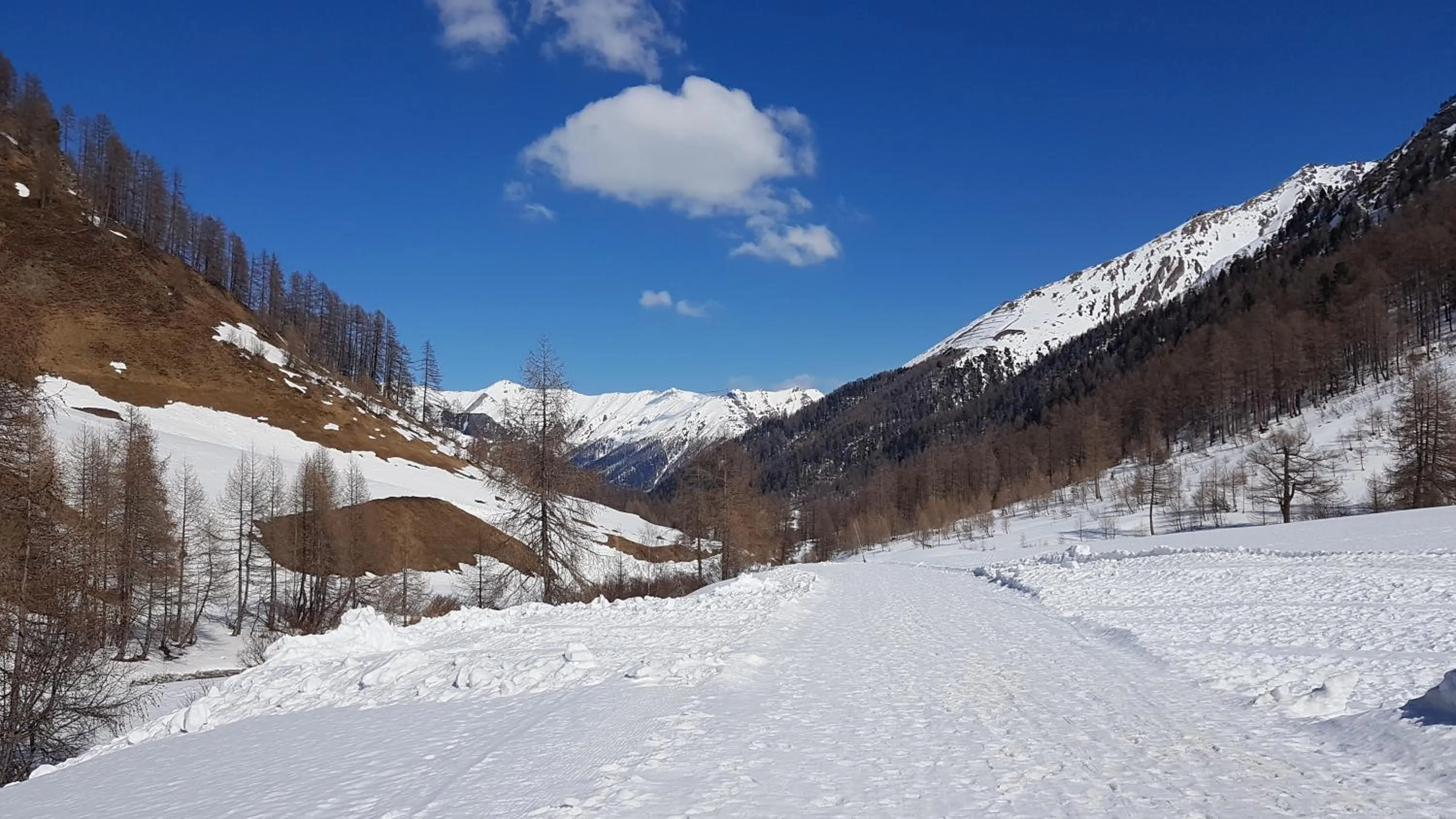 Hiking in Apart-Garni Motnaida