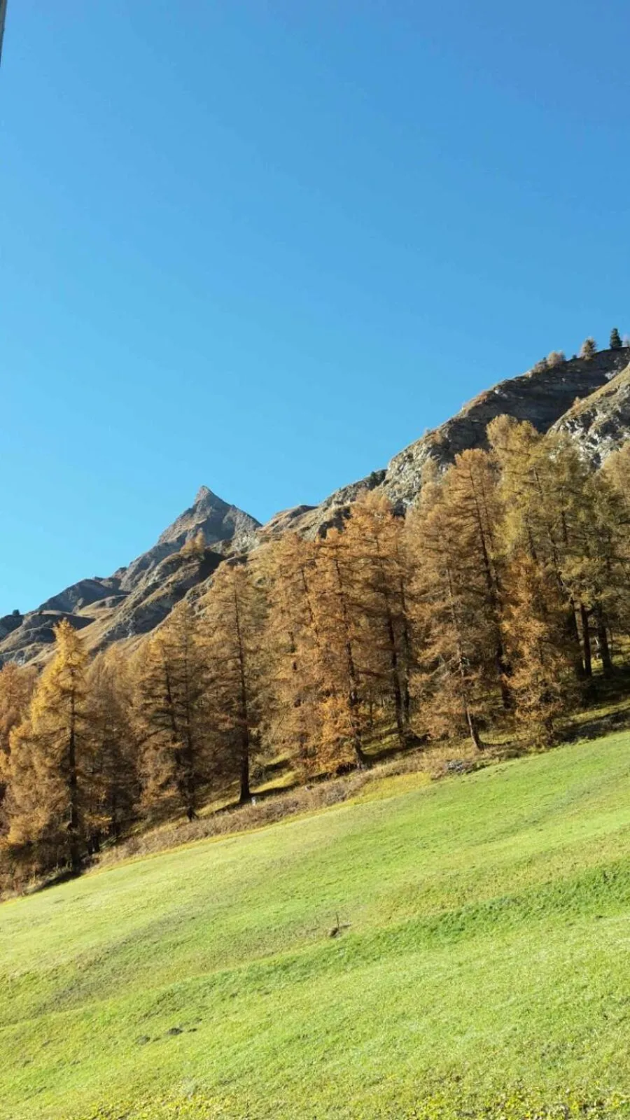 Area and facilities in Apart-Garni Motnaida