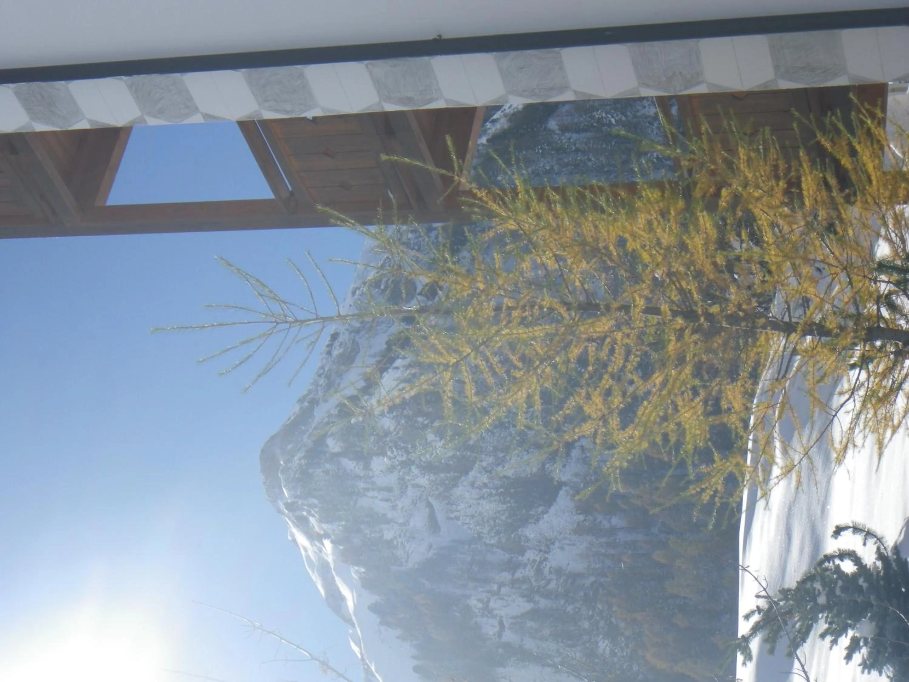 Garden view in Apart-Garni Motnaida