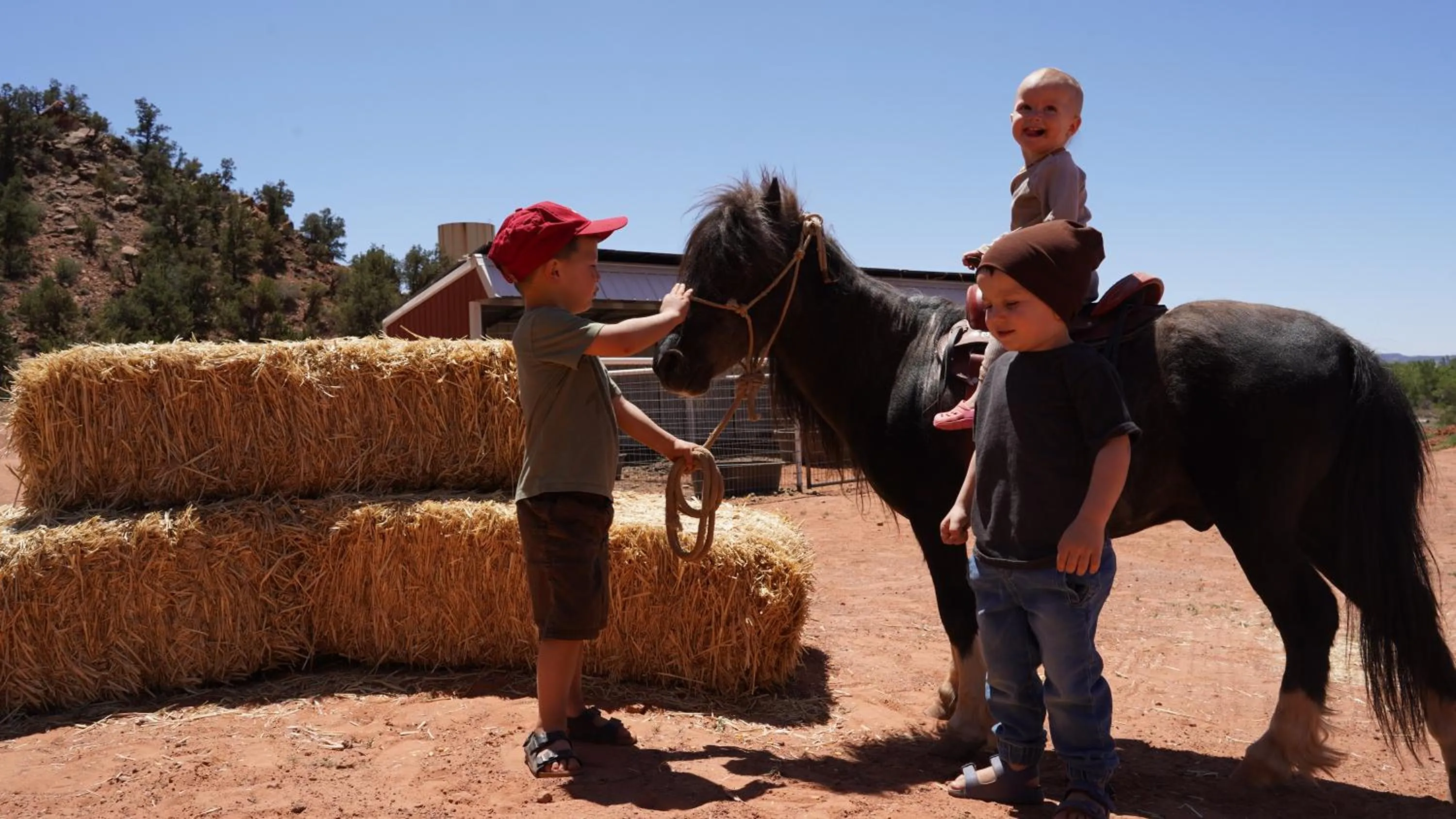 Horse-riding in Zion View Camping