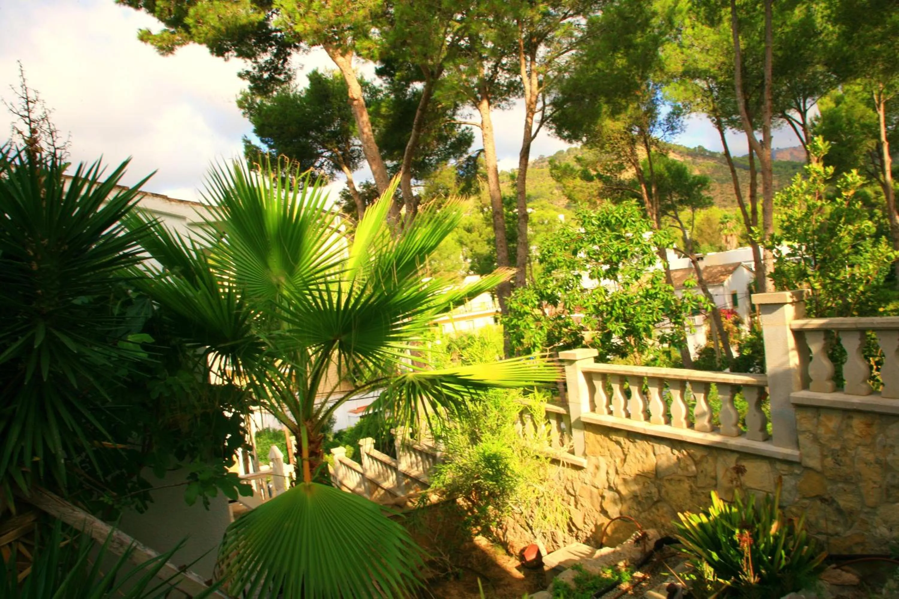 Garden in Villa Columbus Rooms and Restaurant