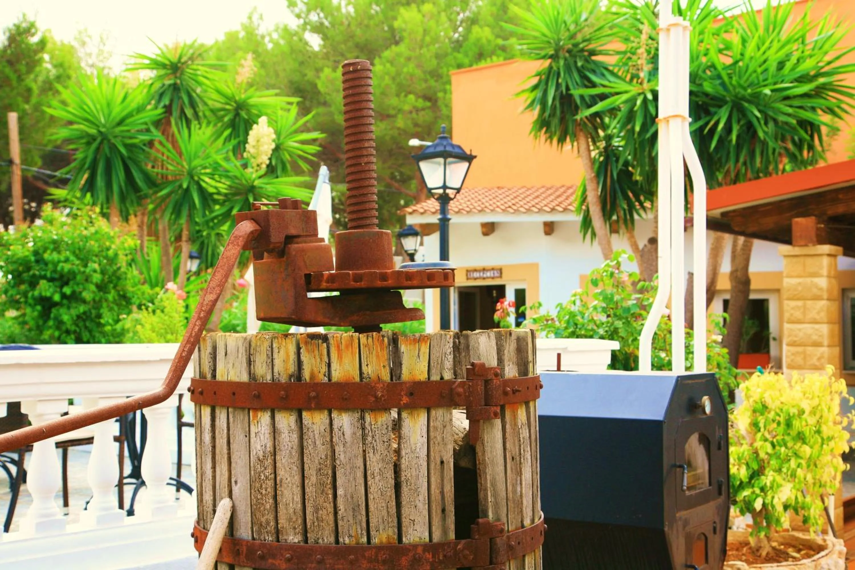 Garden in Villa Columbus Rooms and Restaurant