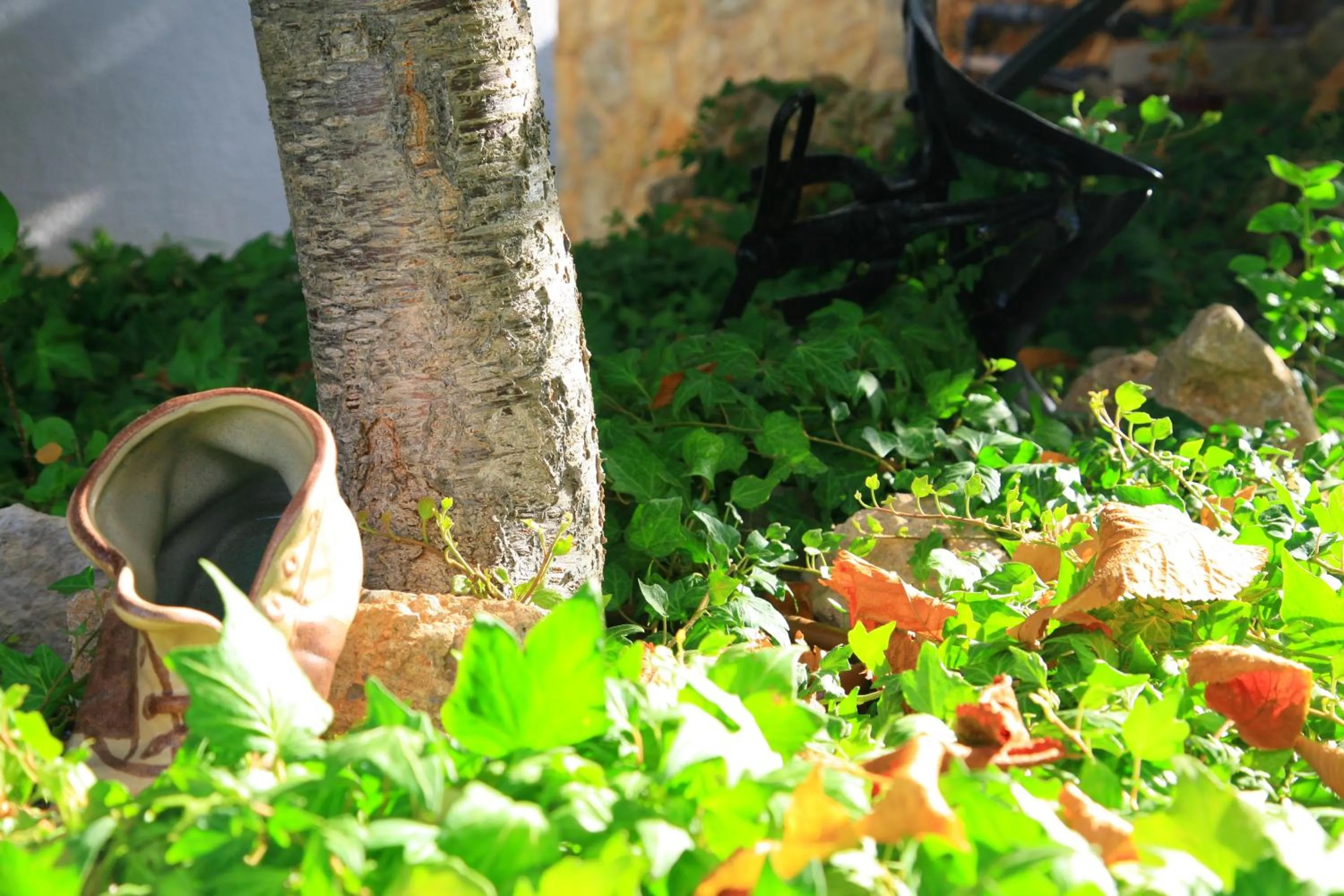 Garden in Villa Columbus Rooms and Restaurant