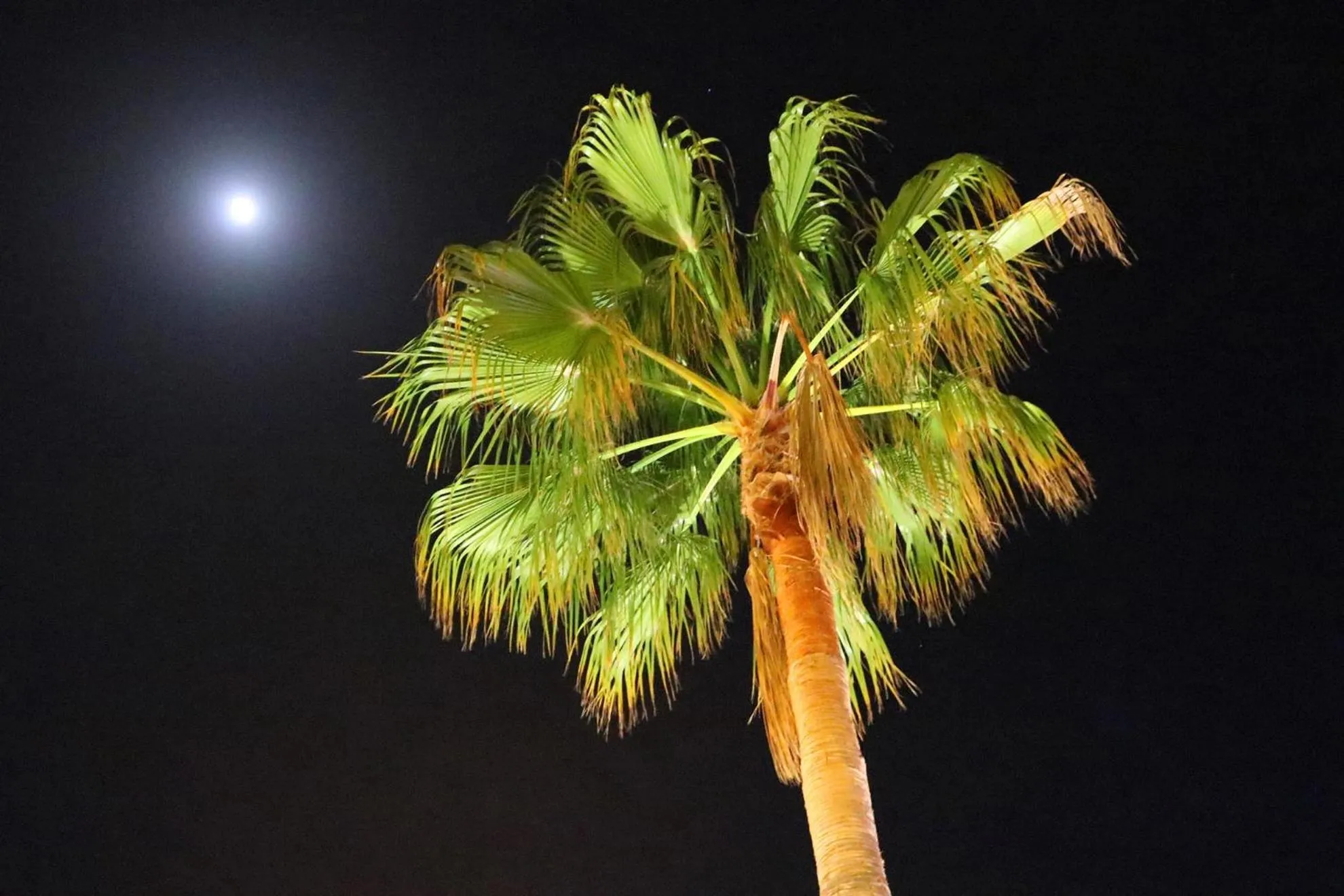 Villa Columbus Rooms and Restaurant