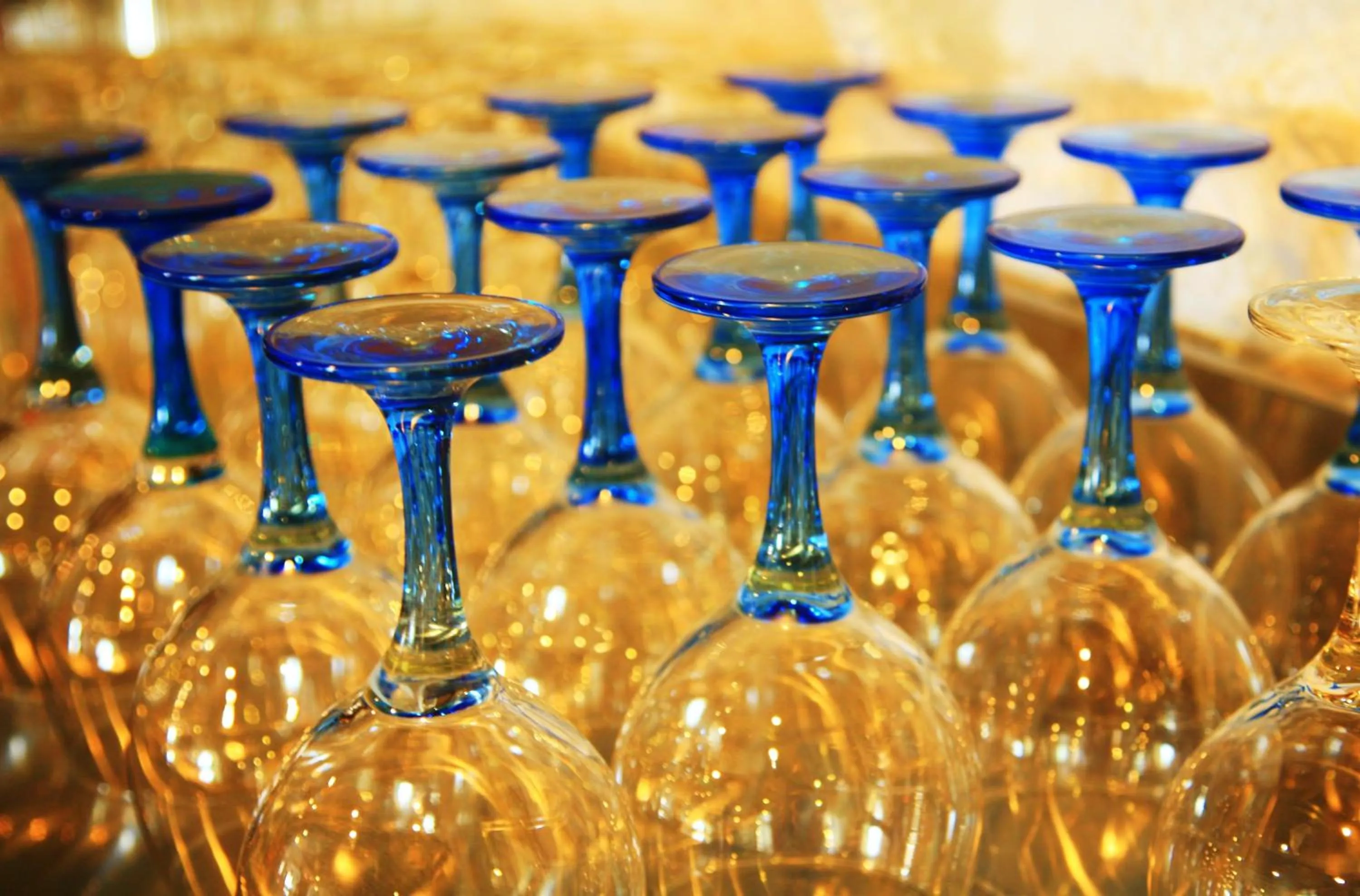 Lounge or bar in Villa Columbus Rooms and Restaurant