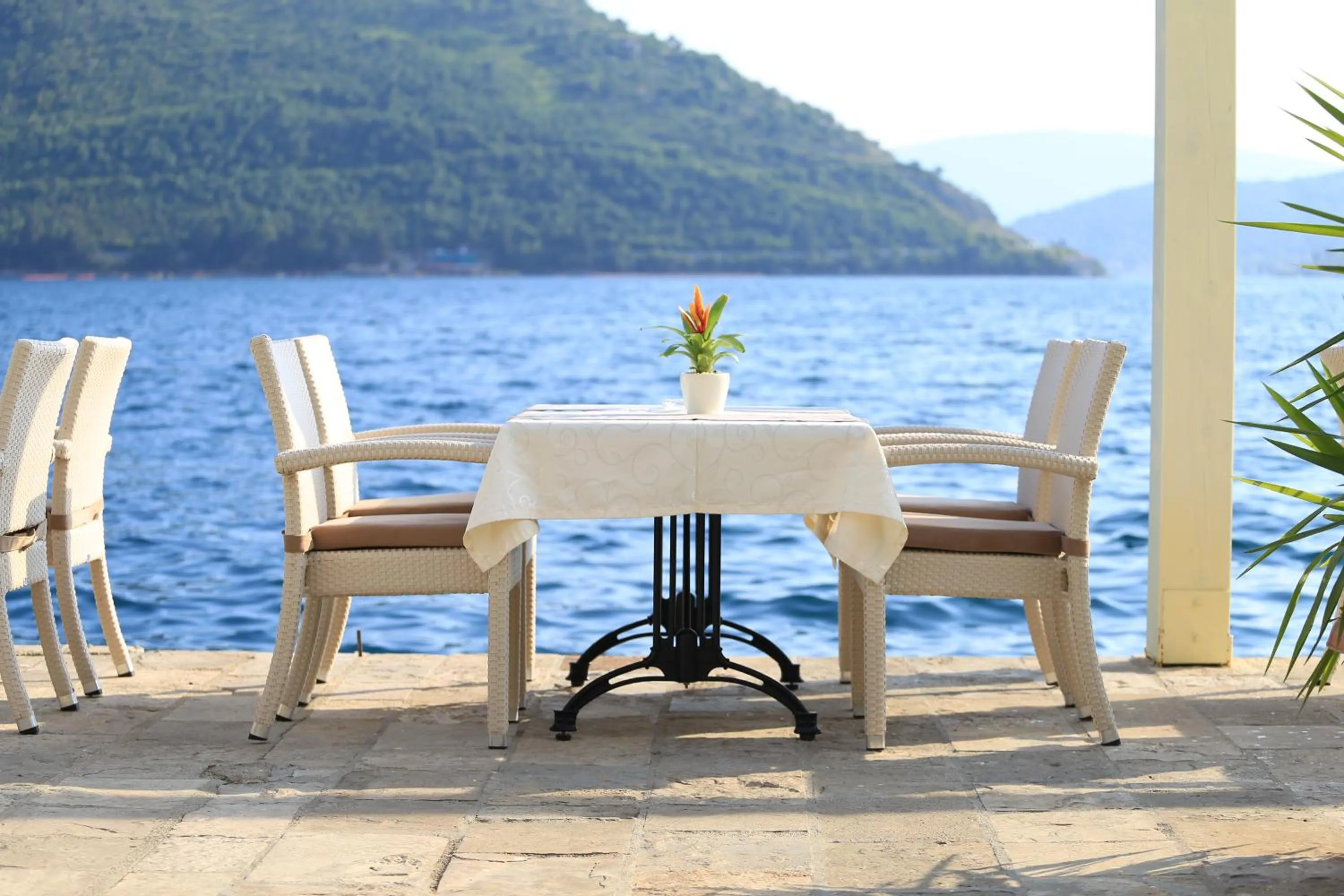 Restaurant/places to eat in Hotel Admiral