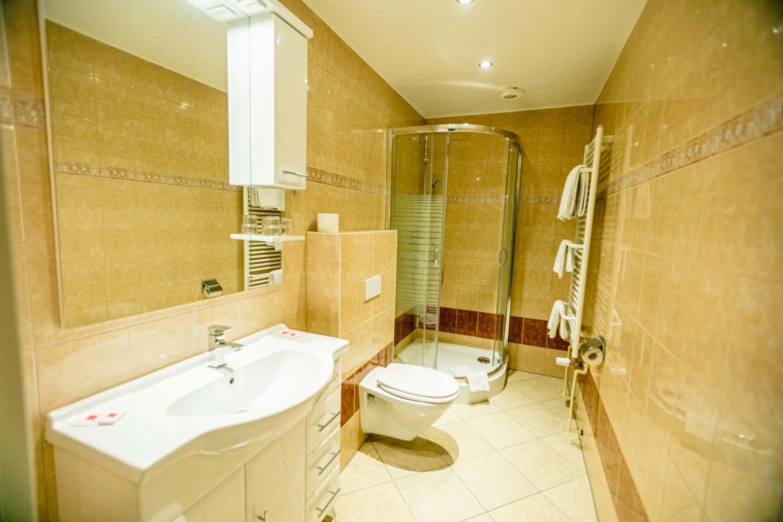 Shower in Hotel Zum Goldenen Löwen