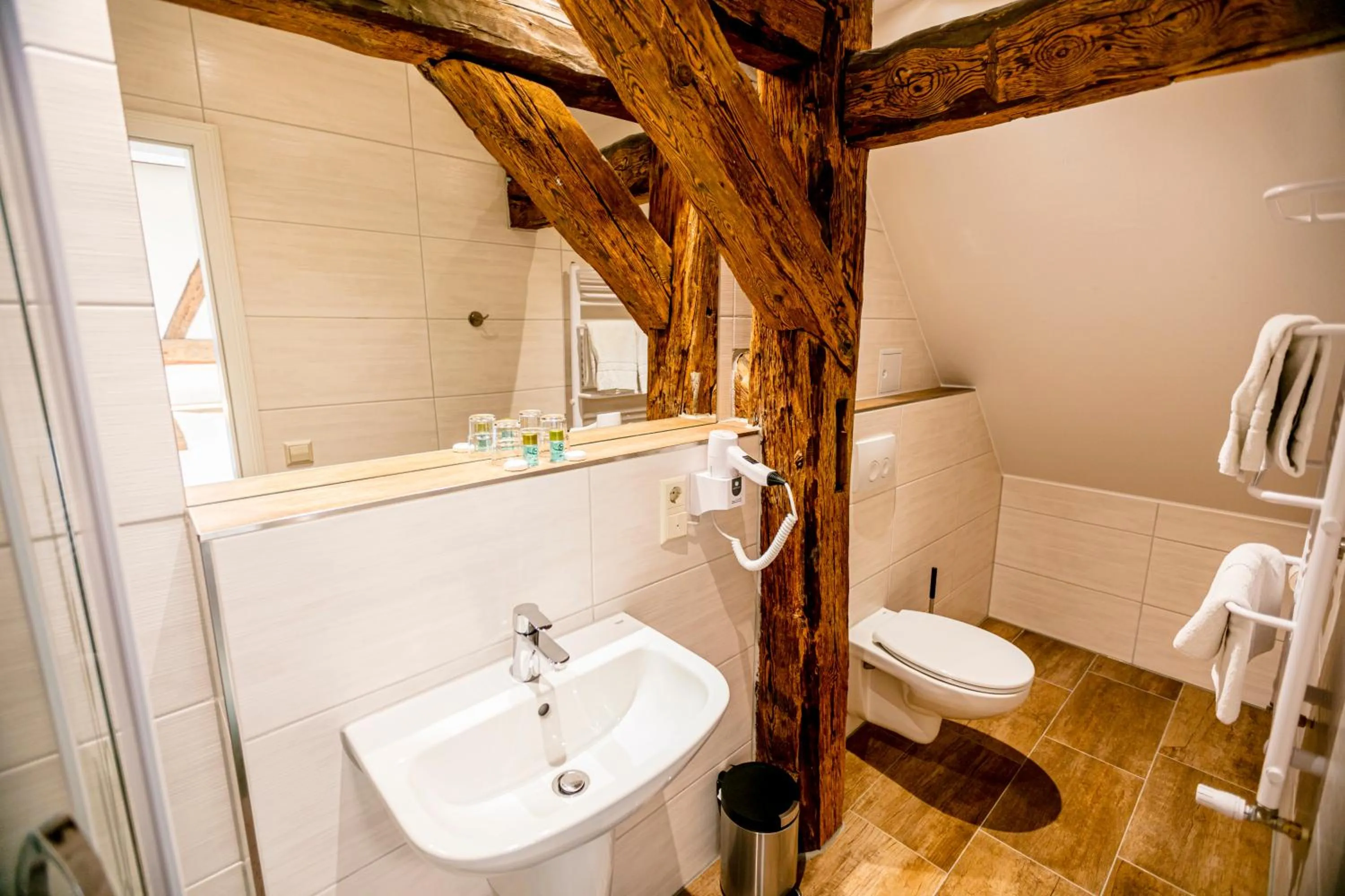 Shower in Hotel Zum Goldenen Löwen