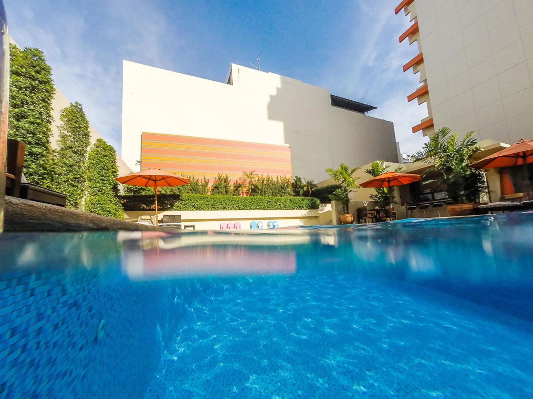 Pool view in dusitD2 Chiang Mai