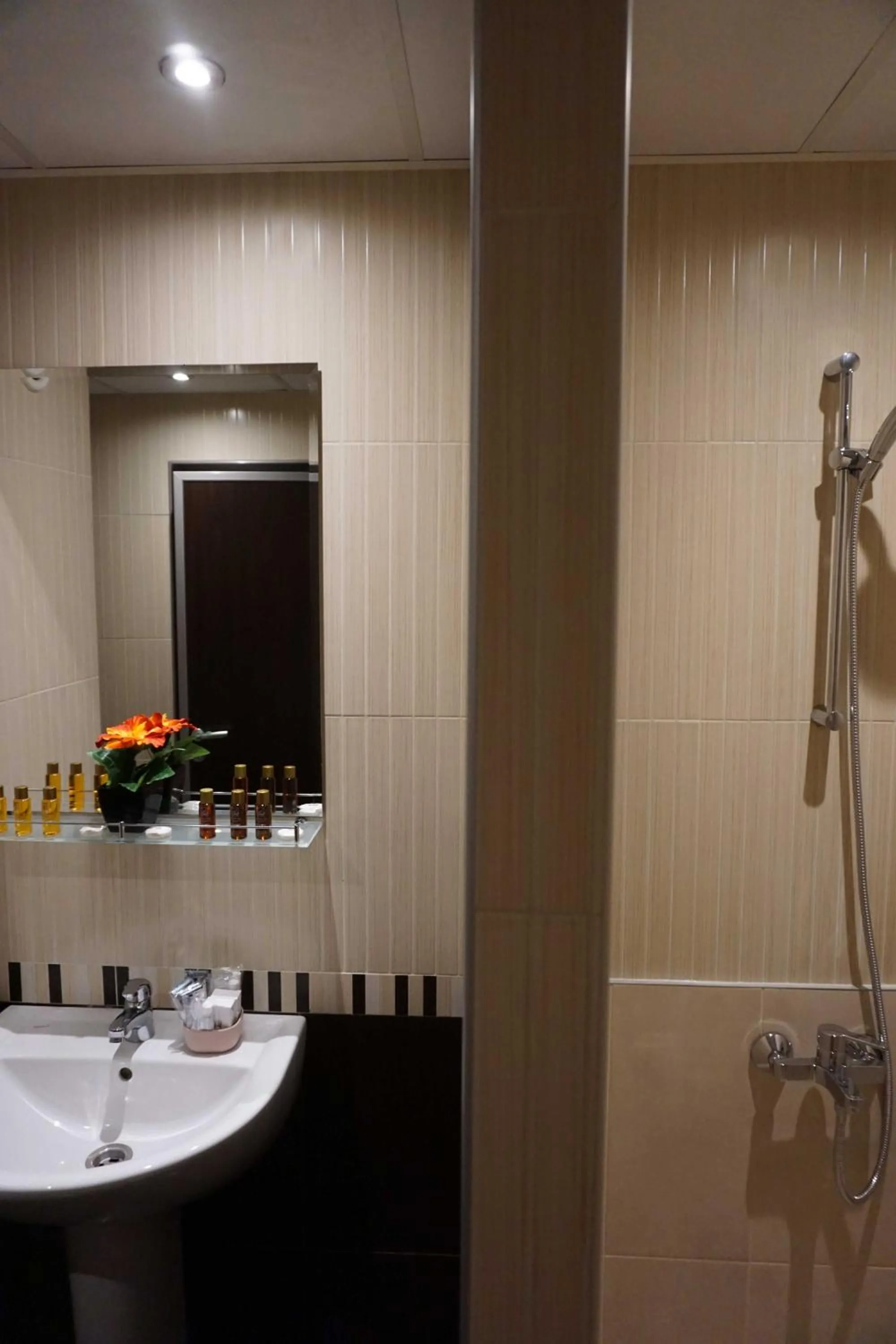 Shower in Hotel Ihtiman