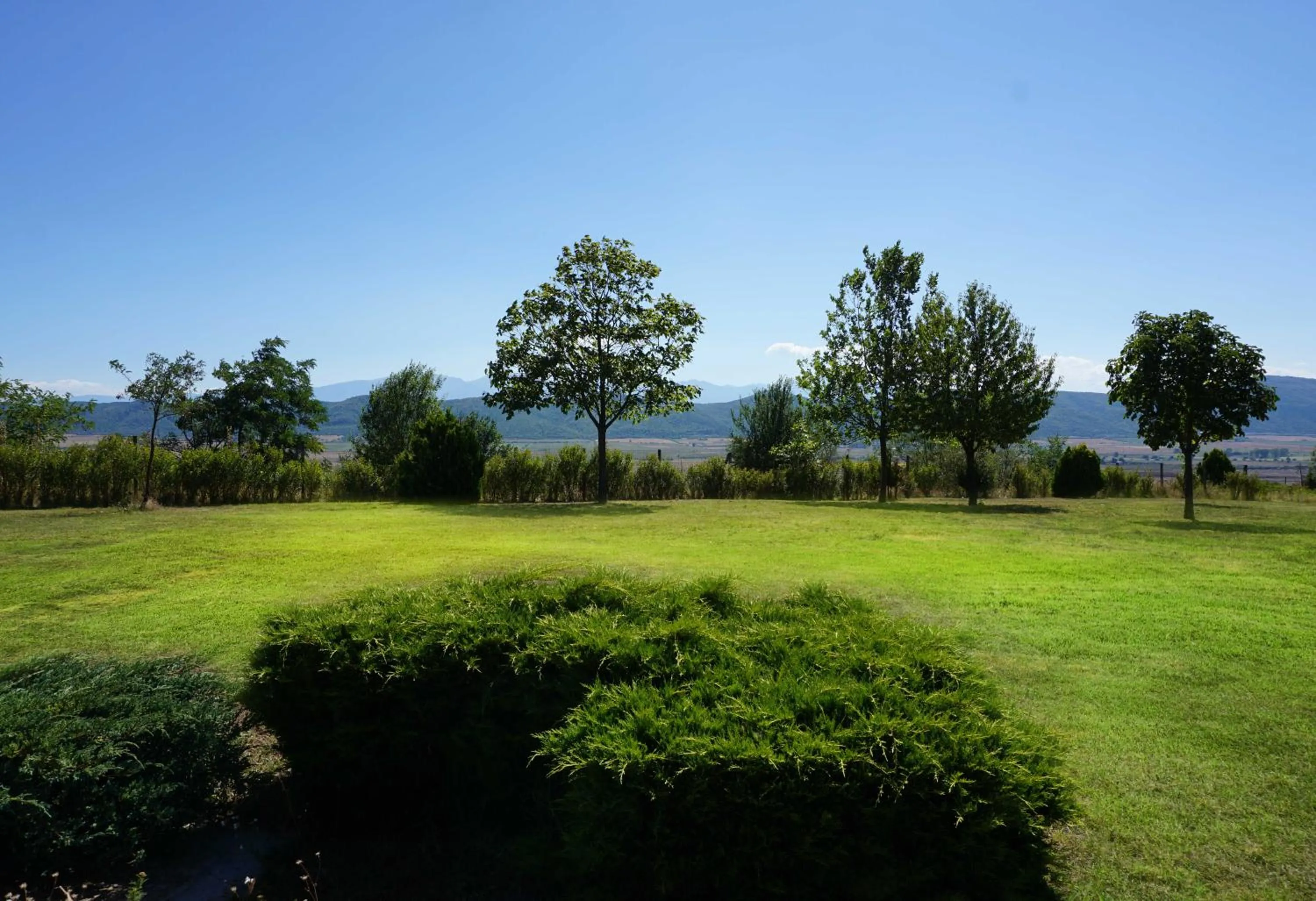 Day in Hotel Ihtiman