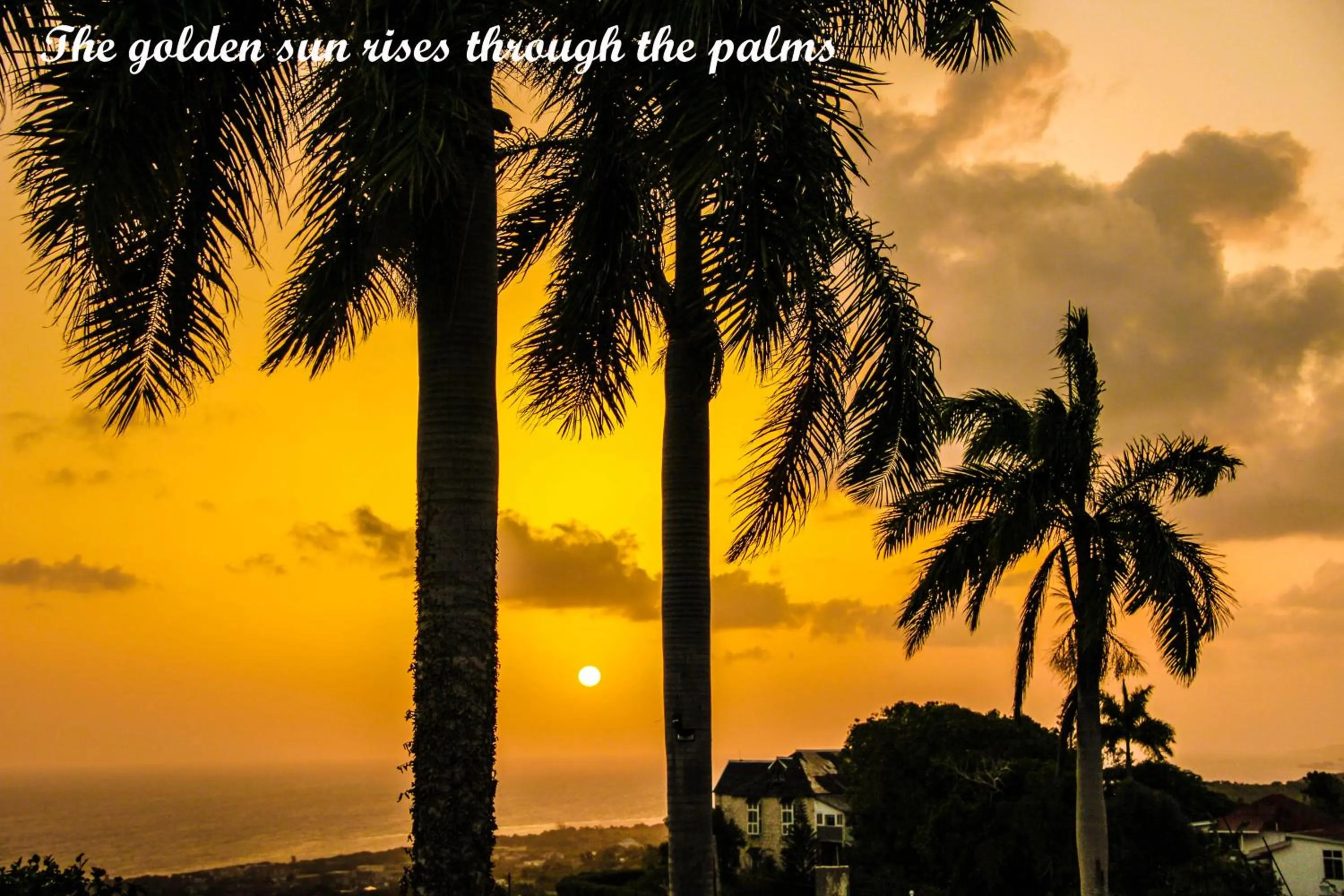 Natural landscape in Sunshine Lodge: Your home away from home