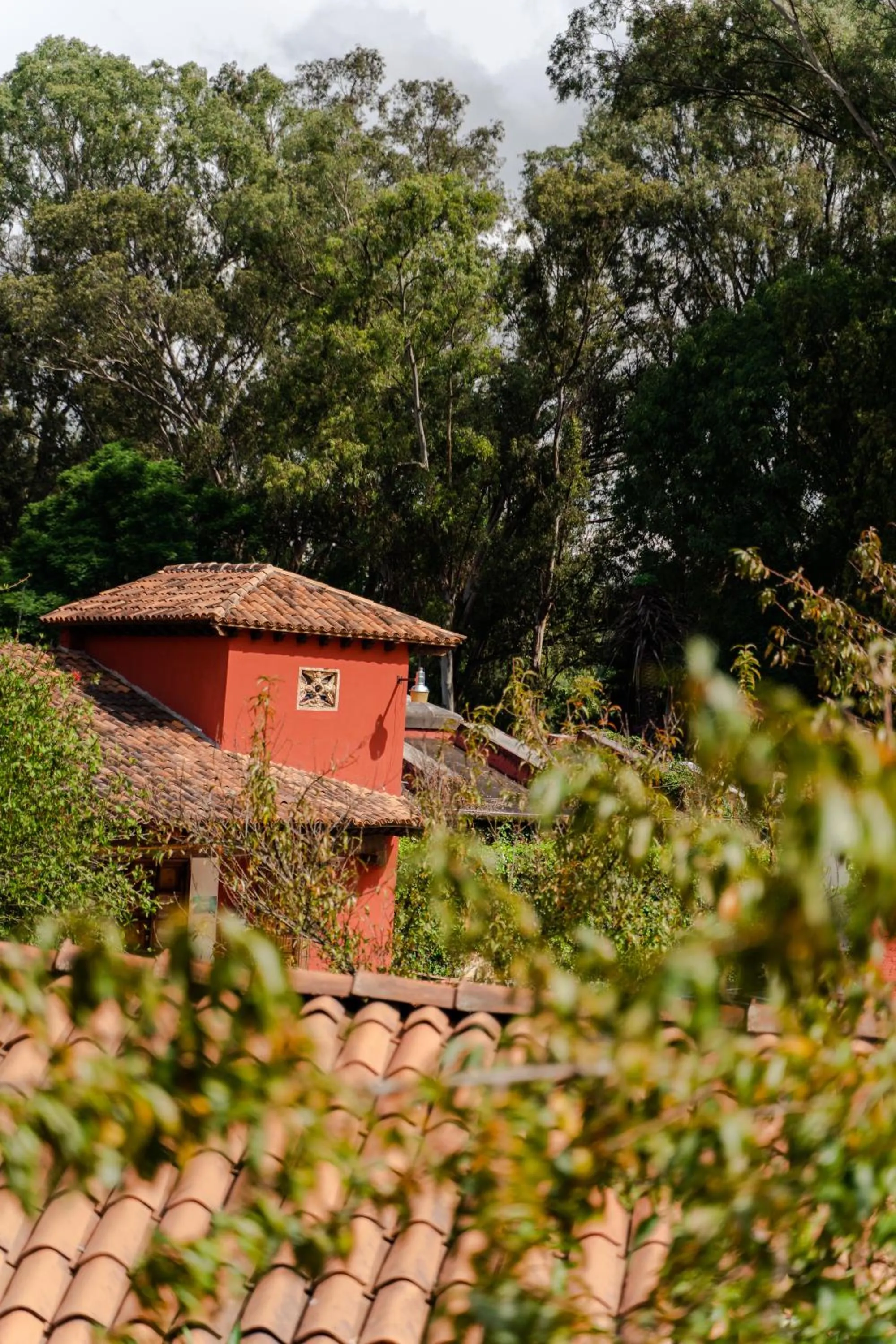 View (from property/room), Property Building in Mision Patzcuaro