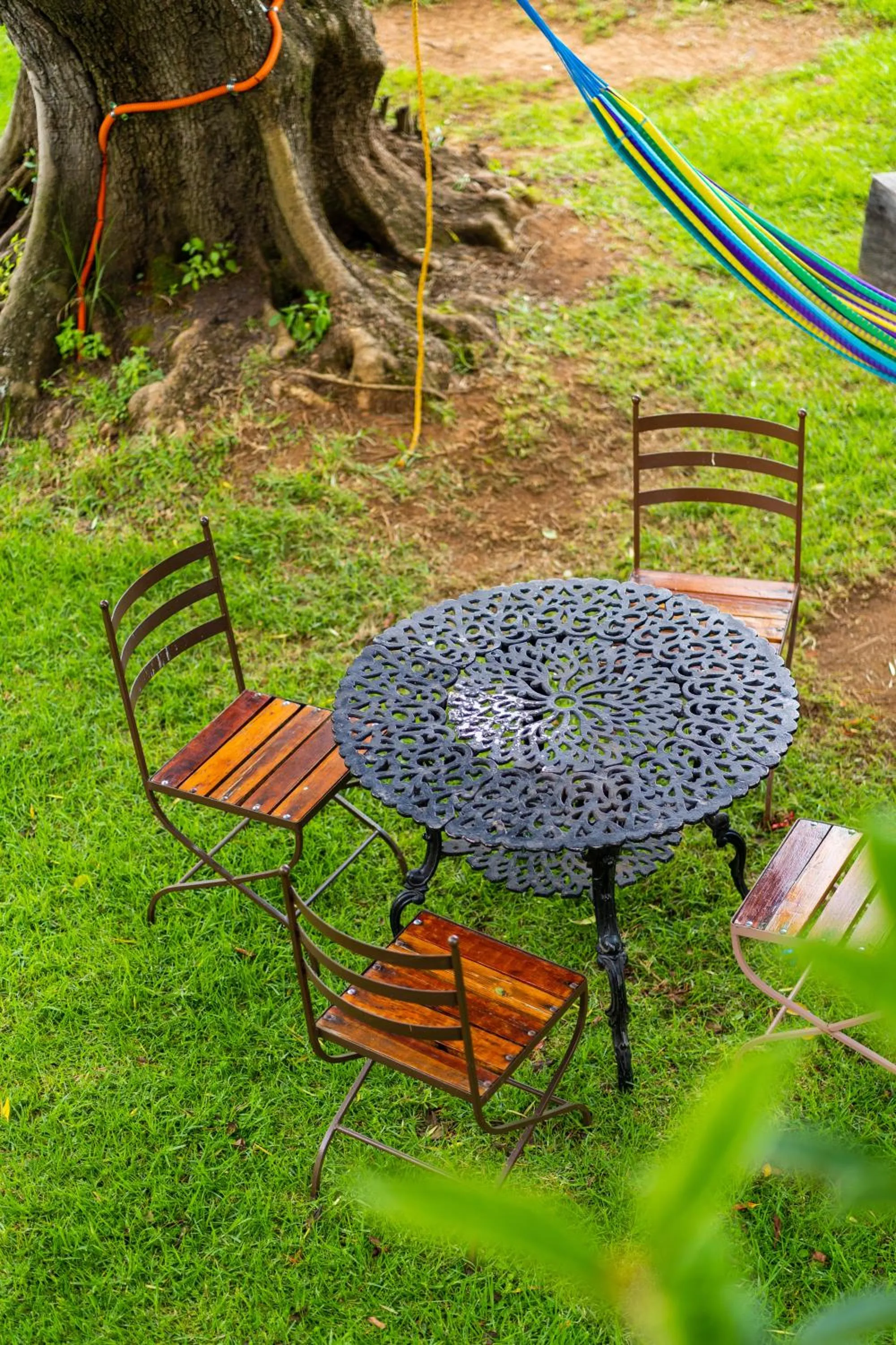 Garden view, Garden in Mision Patzcuaro