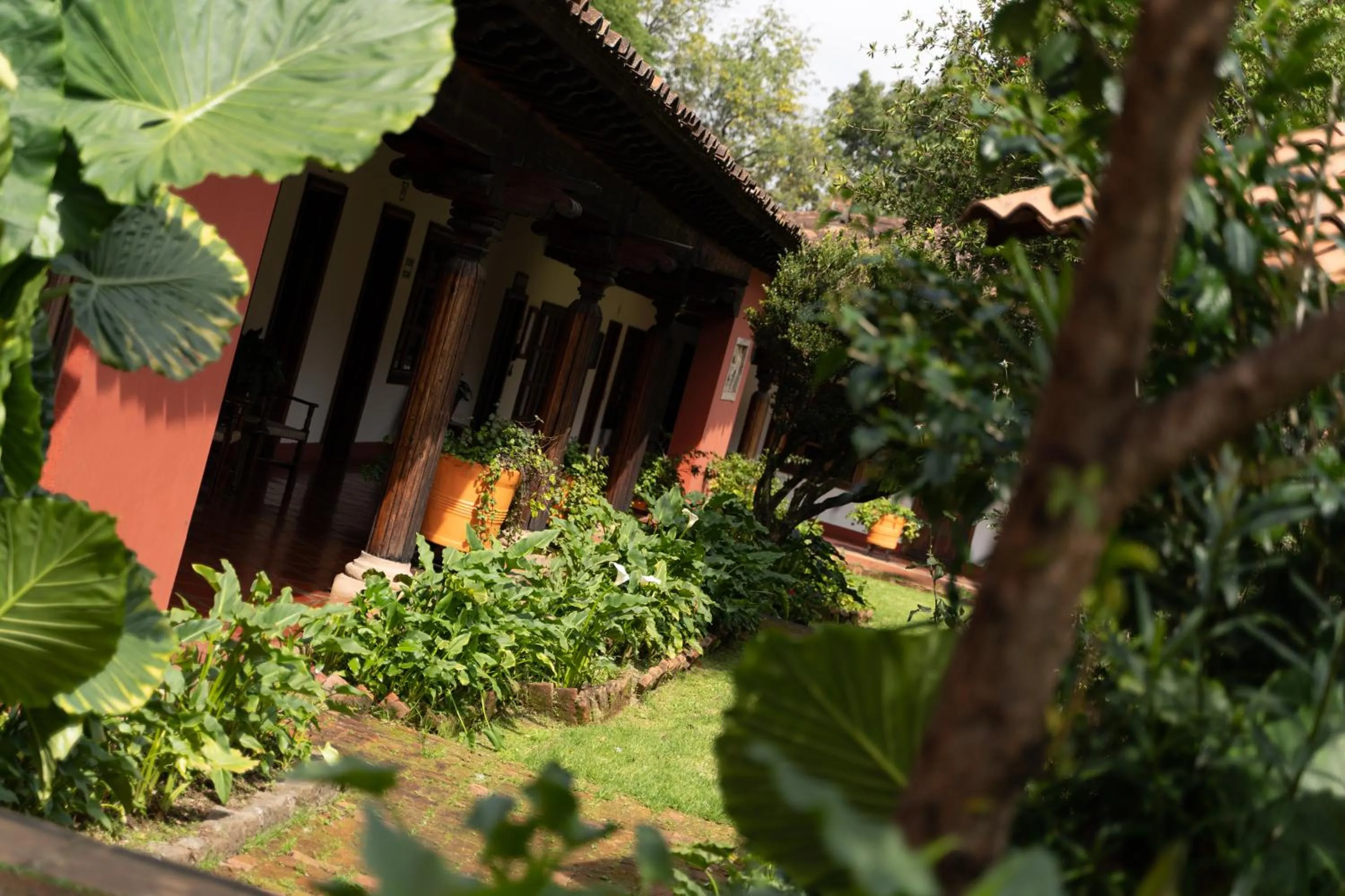 Garden, Property Building in Mision Patzcuaro