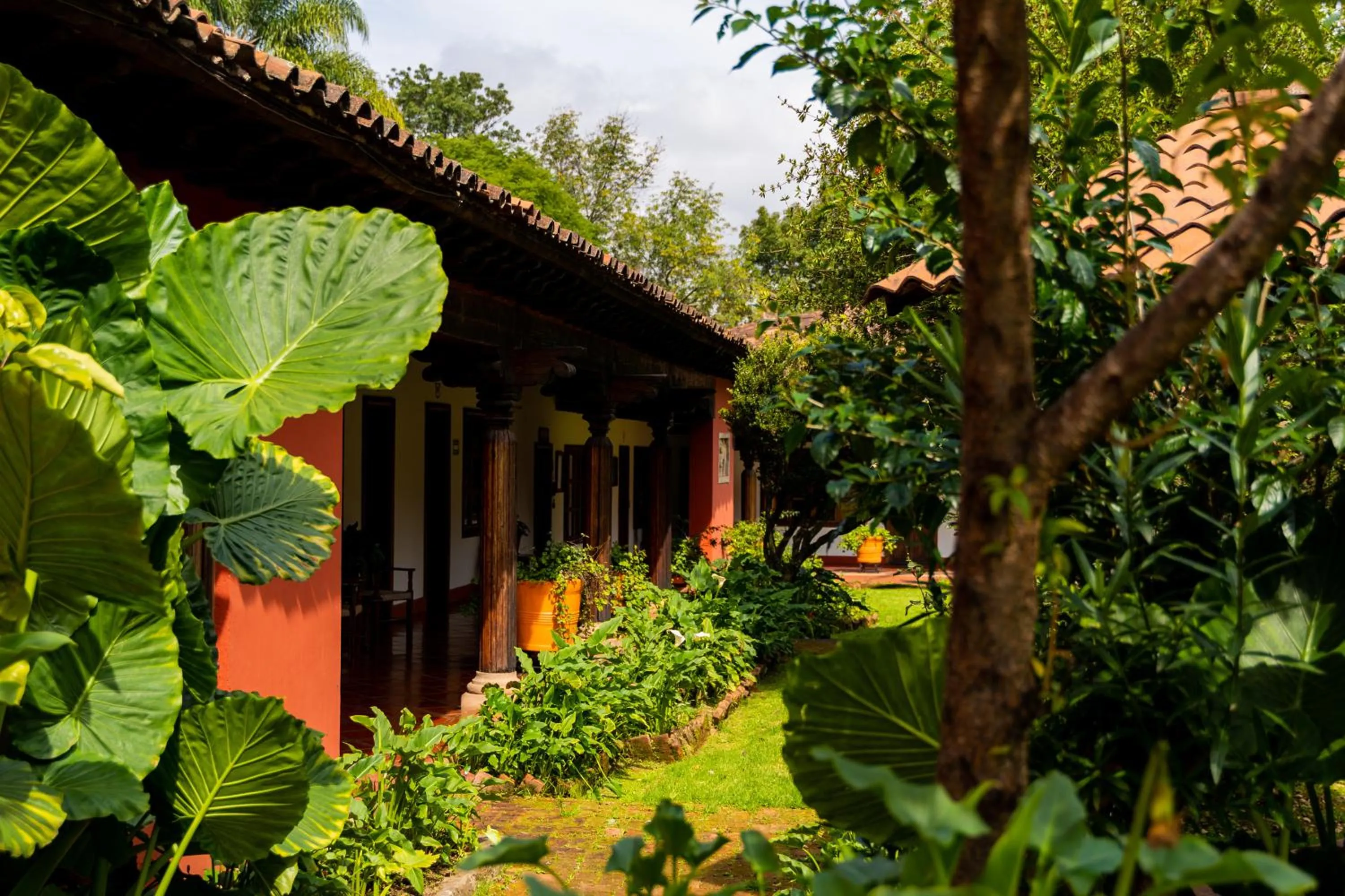 Inner courtyard view, Property Building in Mision Patzcuaro