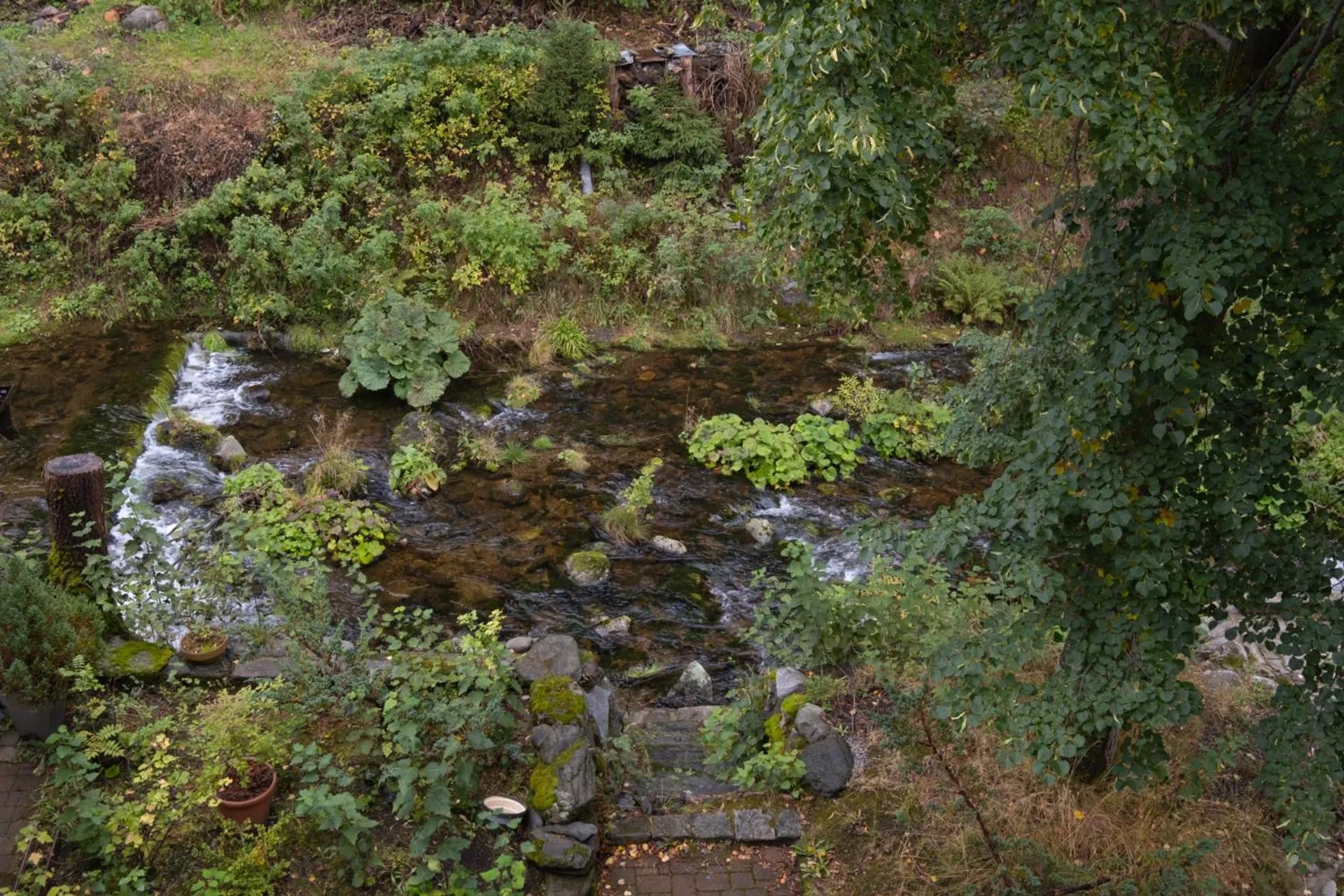 Natural landscape in Hotel Krokus