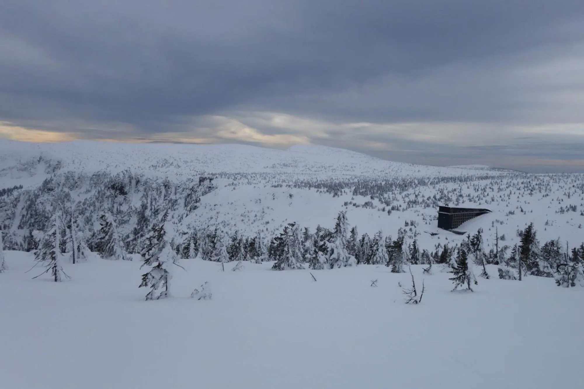 Natural landscape in Hotel Krokus